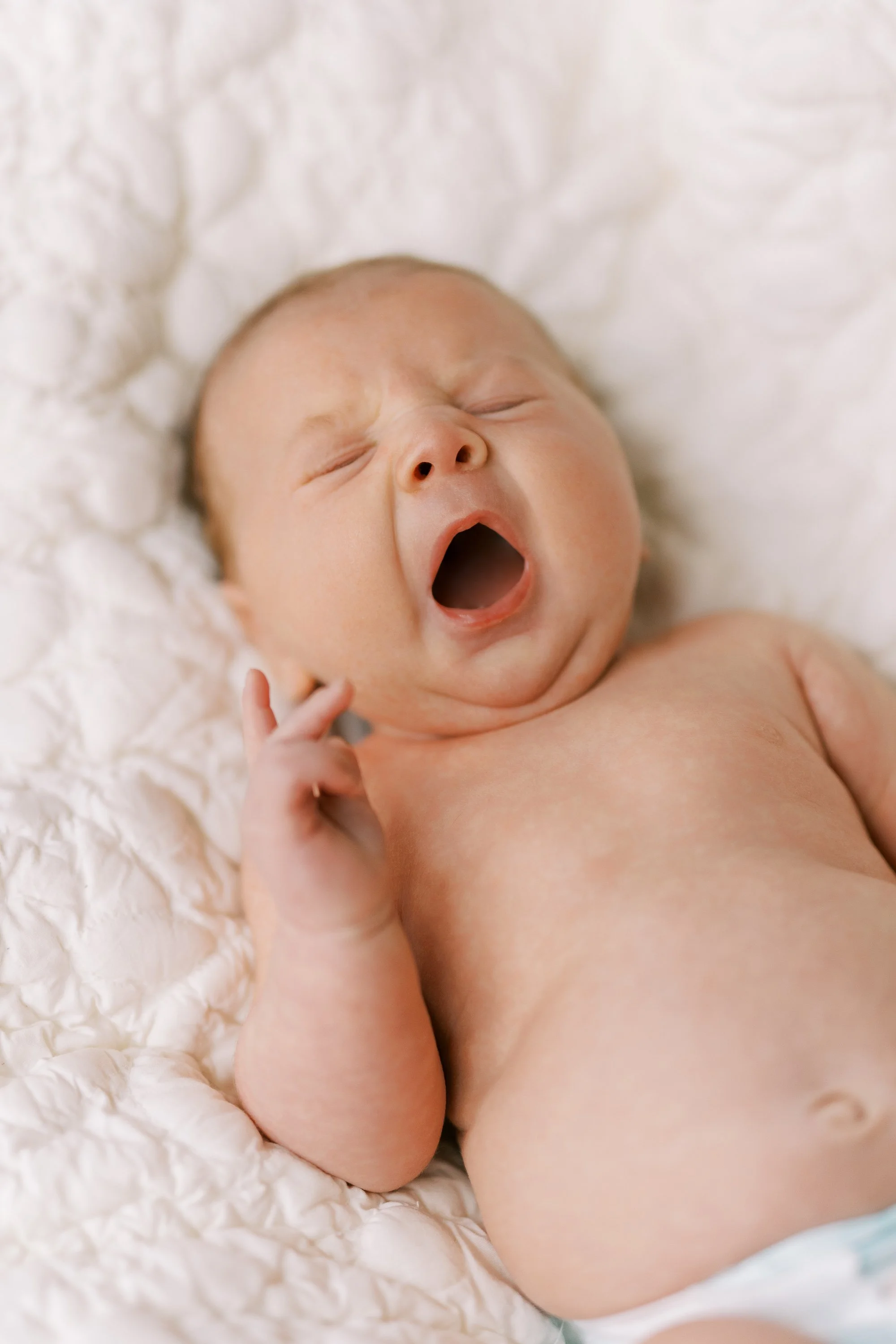 Close-up of newborn baby's bare feet and curled legs on a soft blanket, Roswell, Georgia