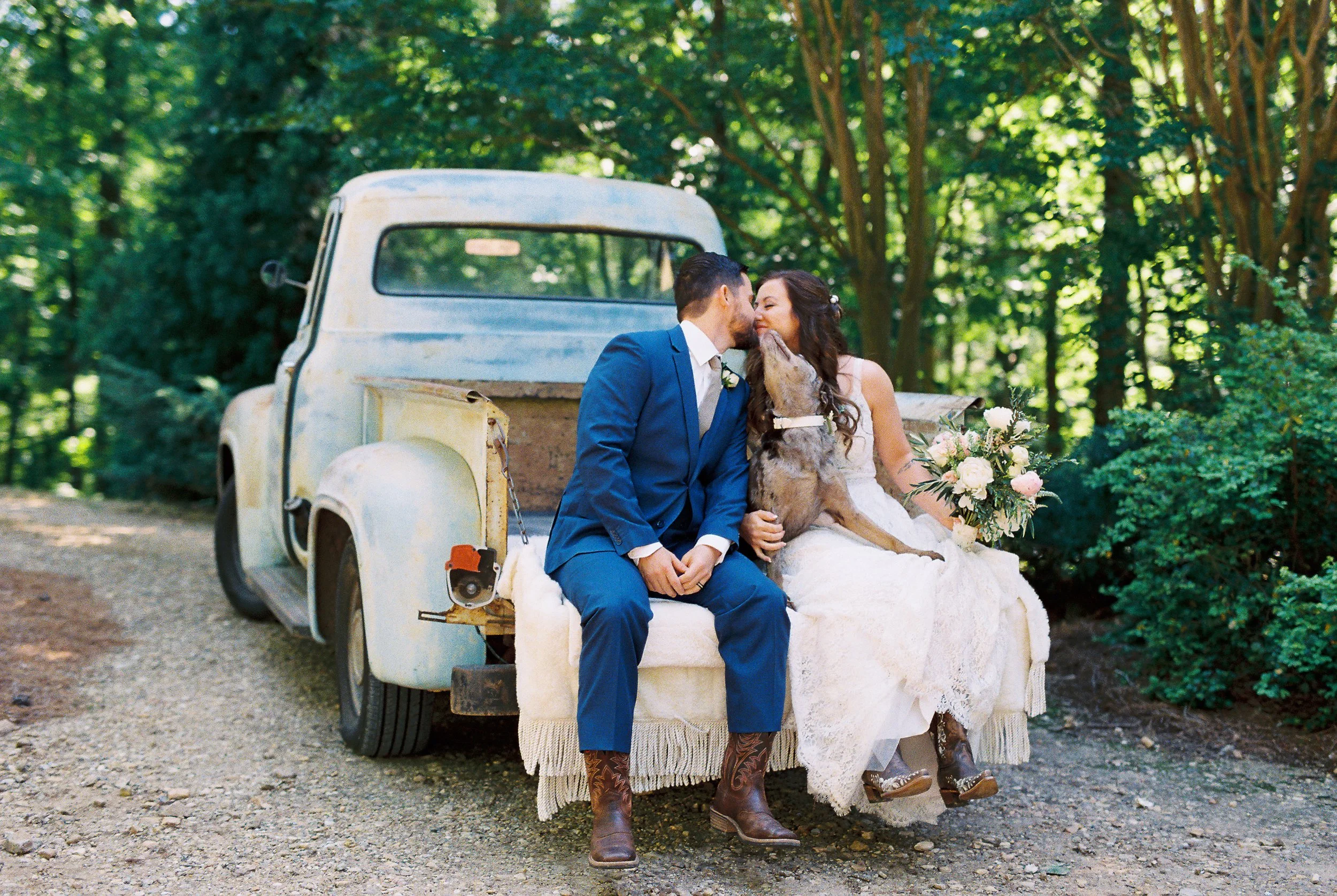 Bride and groom sharing a kiss while sitting together on the tailgate of a vintage blue truck, with Dakota the dog between them and the bride holding her bouquet