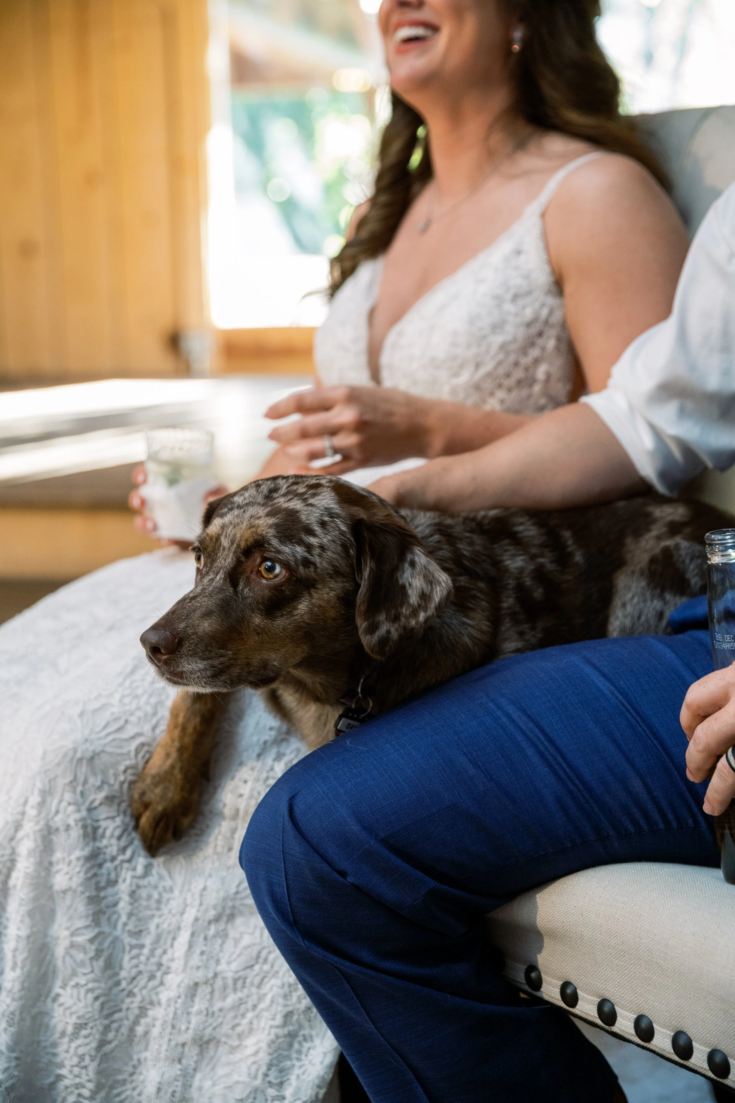 Bride laughing while holding Dakota the dog on her lap