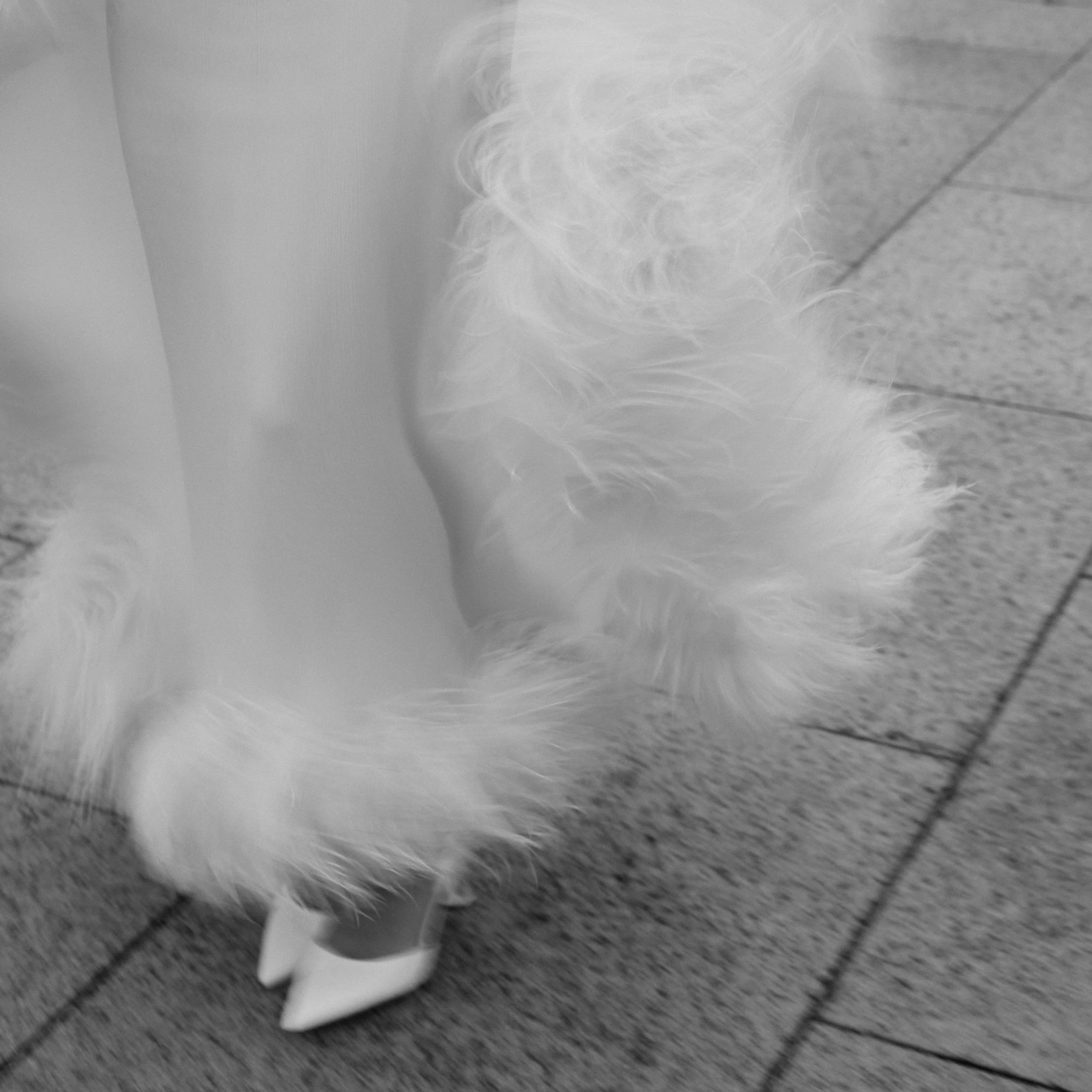 Black and white detail photo of the bride's feathered dress hem and shoe