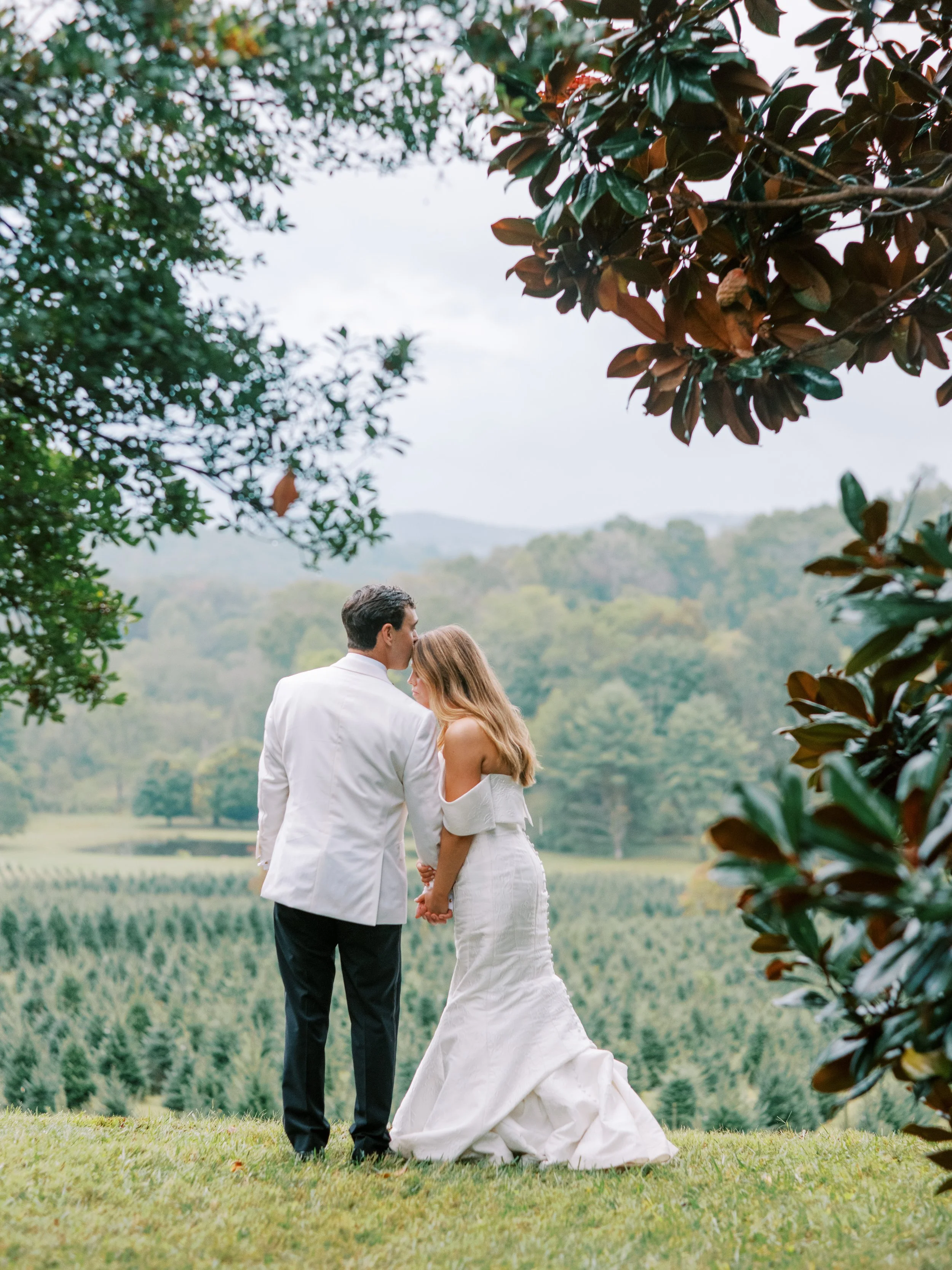 Bride and groom standing under a tree overlooking a scenic mountain vista