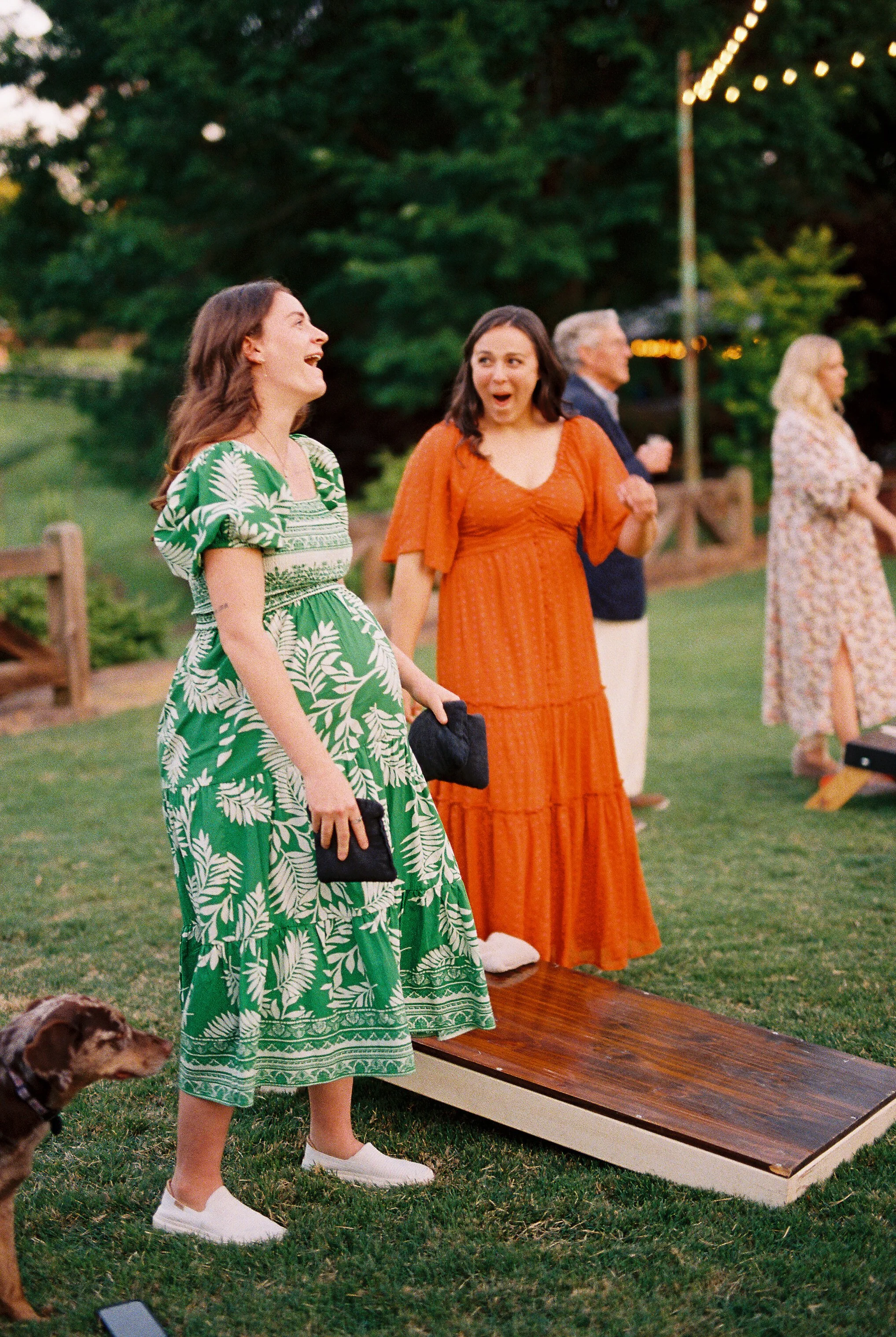 Wedding guests laughing and reacting while playing cornhole on the lawn at dusk, string lights and other guests in the background, dog watching nearby