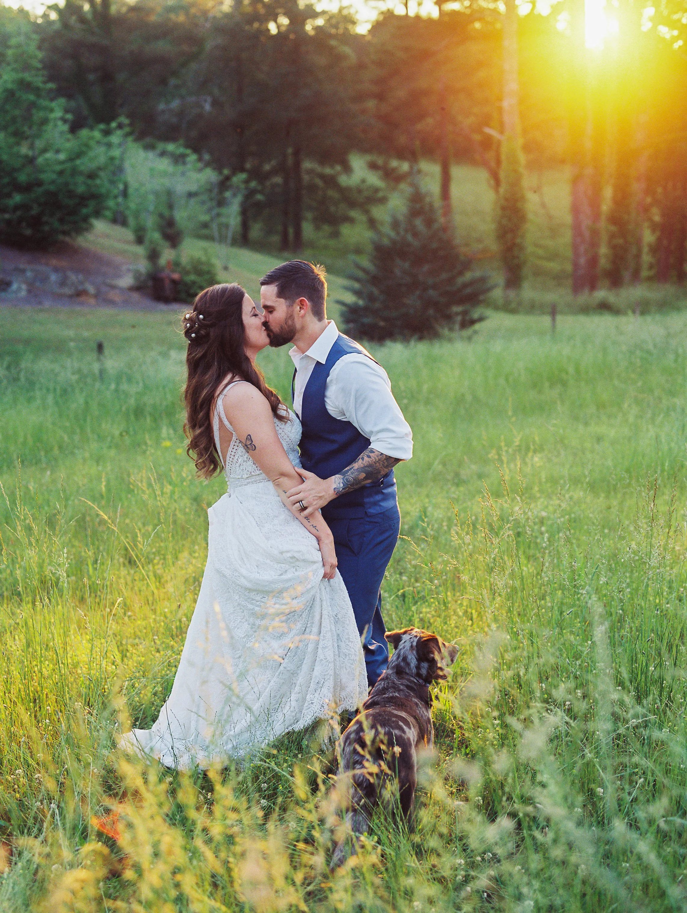 Bride and groom sharing a kiss in a golden field with Dakota the dog sitting at their feet