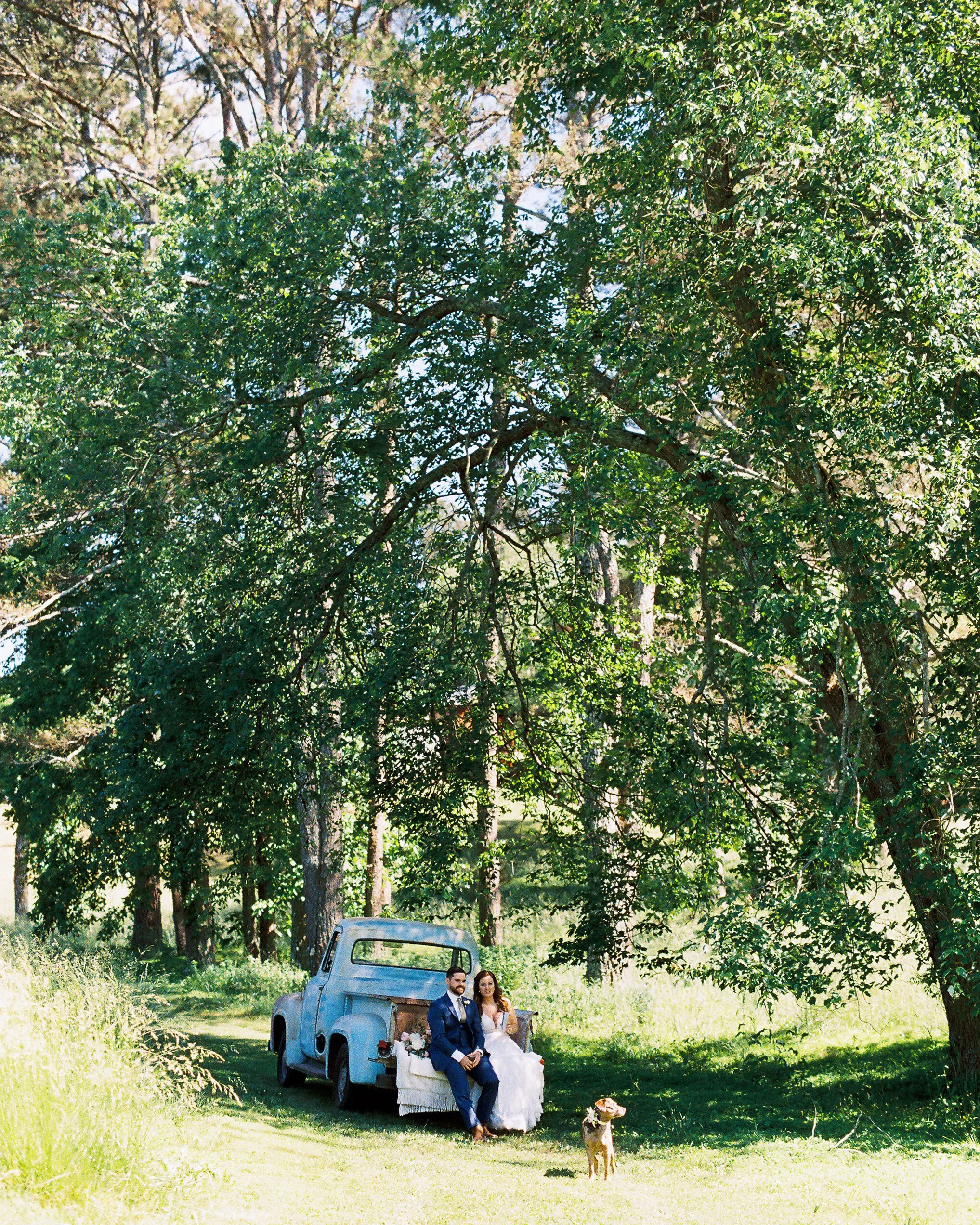 Wide distant shot of the bride and groom sitting on the vintage truck's tailgate in a sunlit clearing surrounded by tall trees, Dakota the dog standing nearby