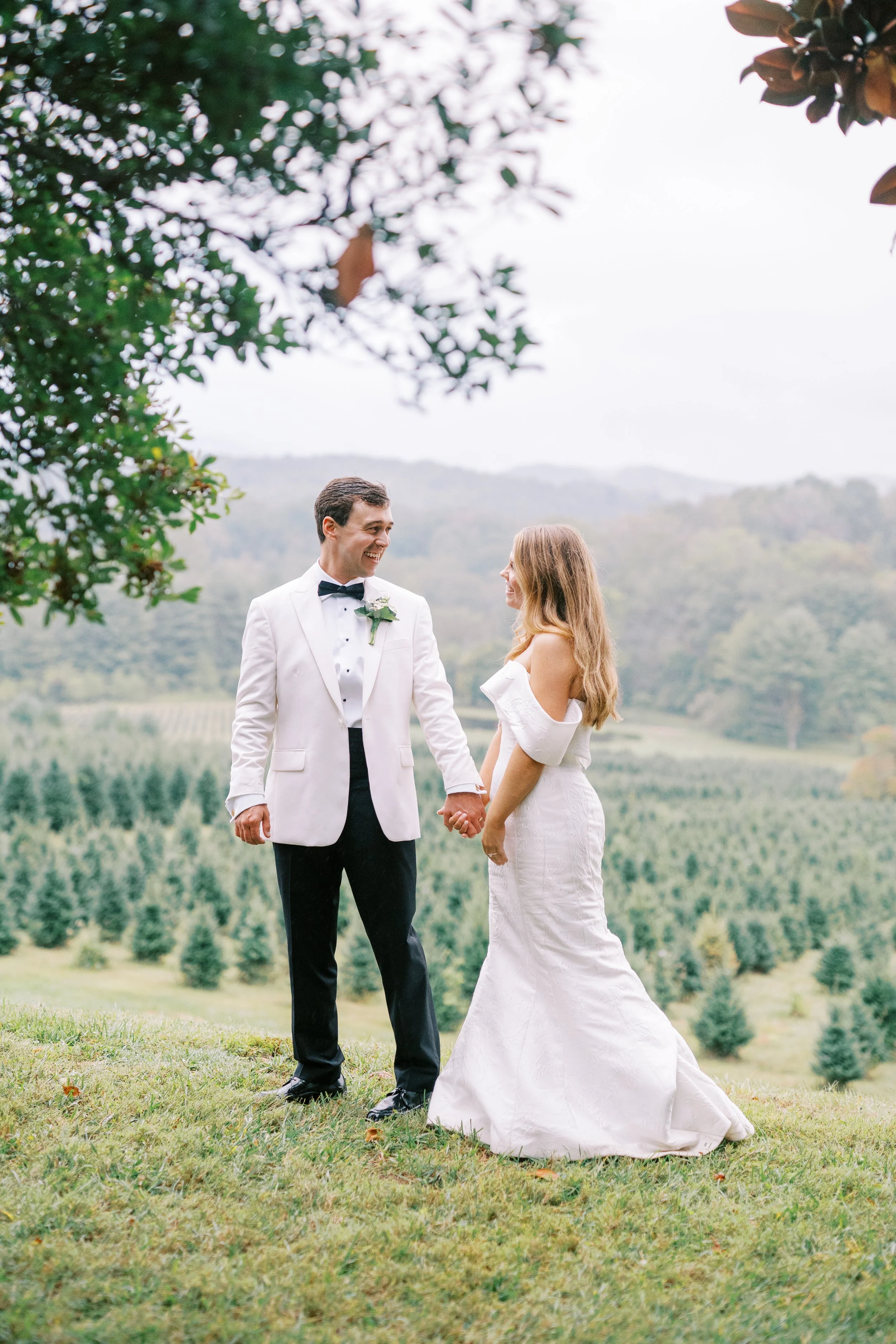 Bride and groom facing each other holding hands with mountain view