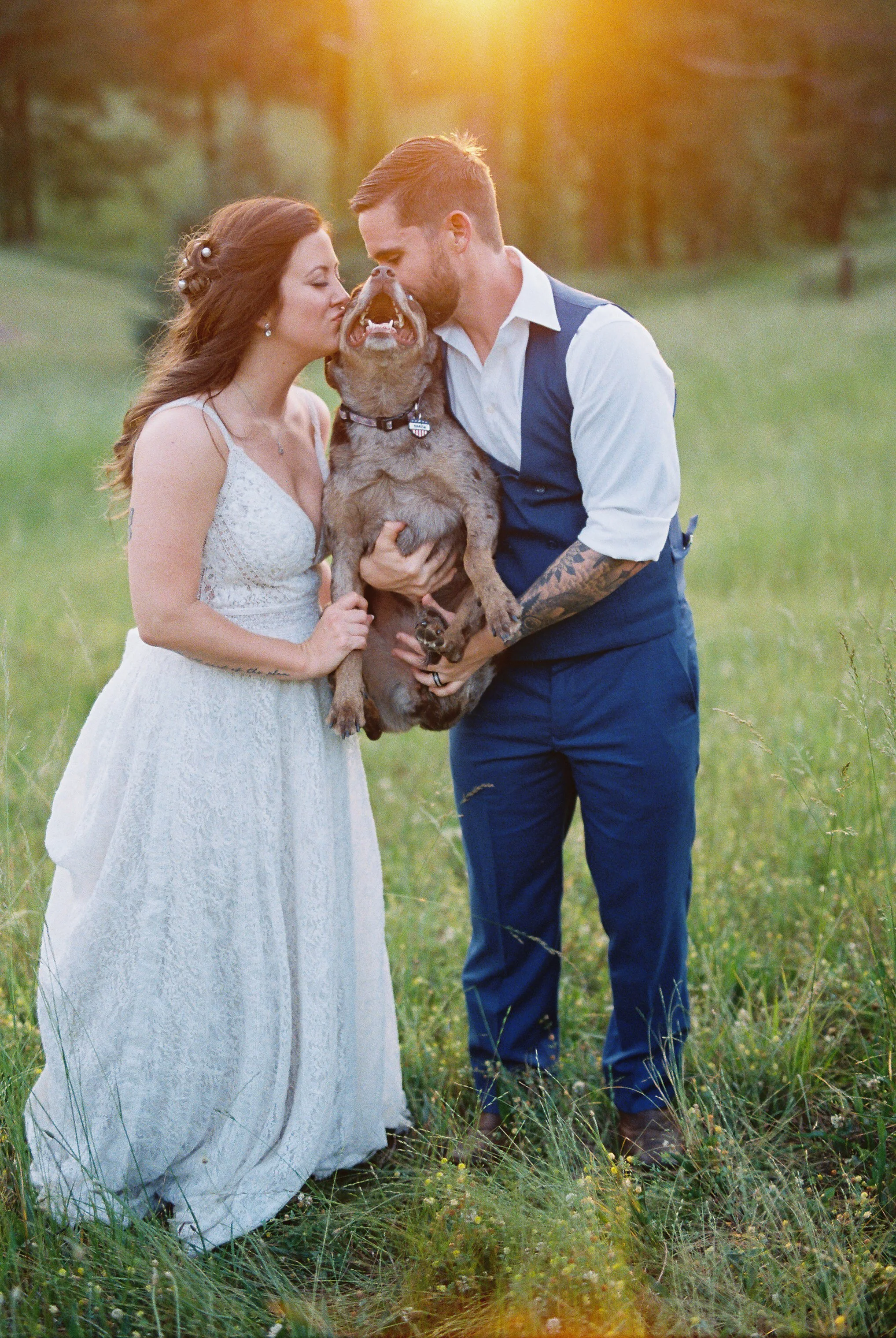 Bride and groom embracing in golden sunset light with the forest as a backdrop