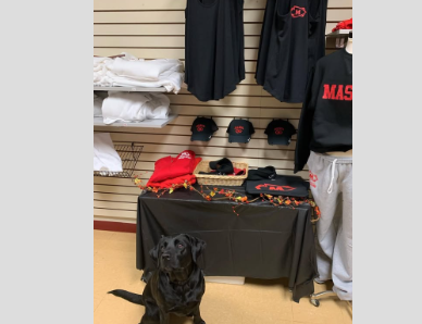 Screenshot 2025-06-09 9.22.05 AM.png