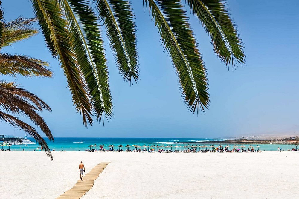 Fuerteventua beach.jpg