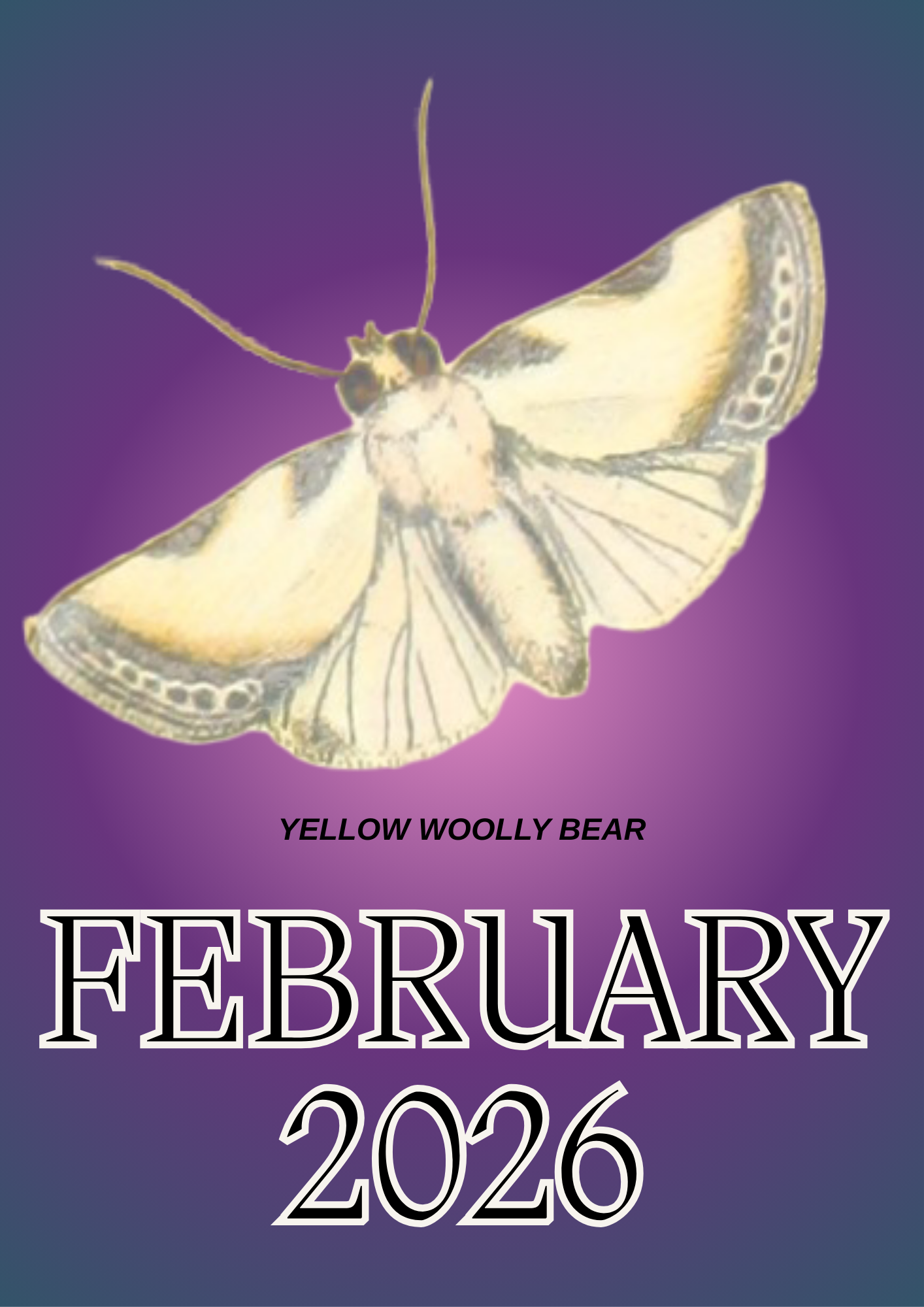 February 2026 Winner