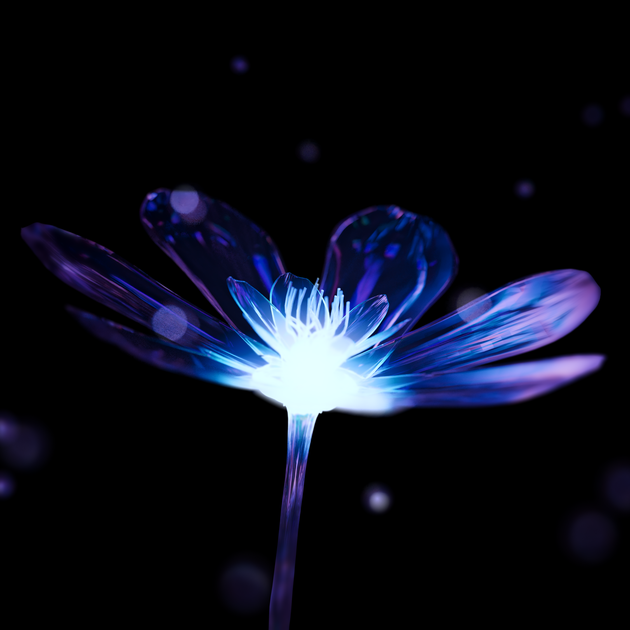 flower_animation_still_1.1.1.png