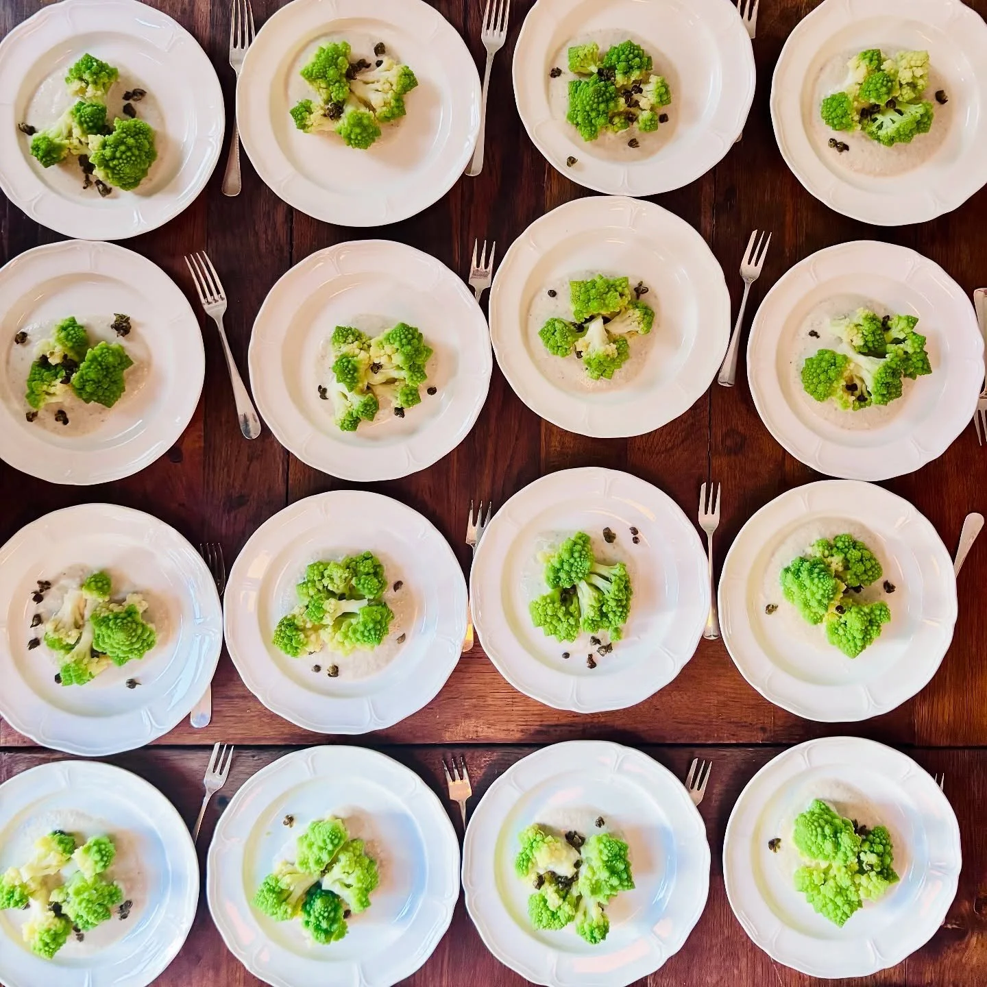 π΄Plates, plates, plates and some cakes!
π Farm-picked Lakenvelder beef turned into a slow-cooked Italian stew, colourful seasonal vegetables and a spicy burrata. 
π To finish, a delicious zesty lemon tart.
π The perfect menu to celebrate a birt