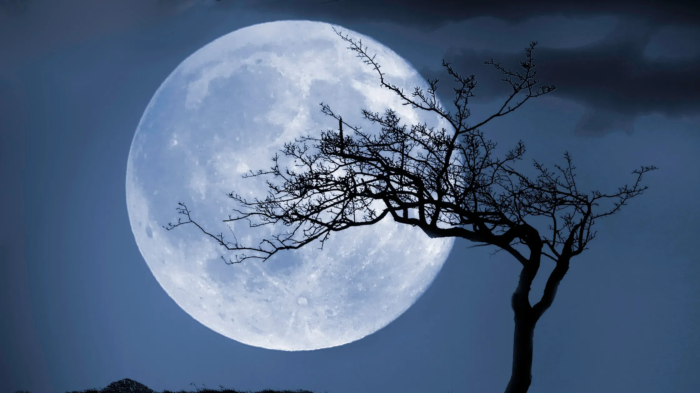 resonance circle · the quiet knowing within