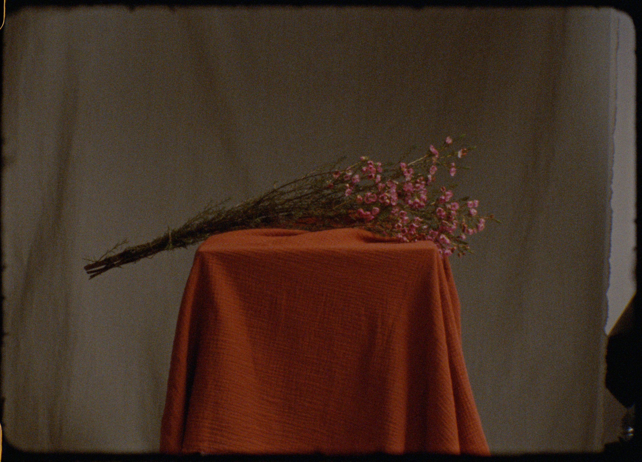 Full scan.00_02_30_12.Still009.jpg