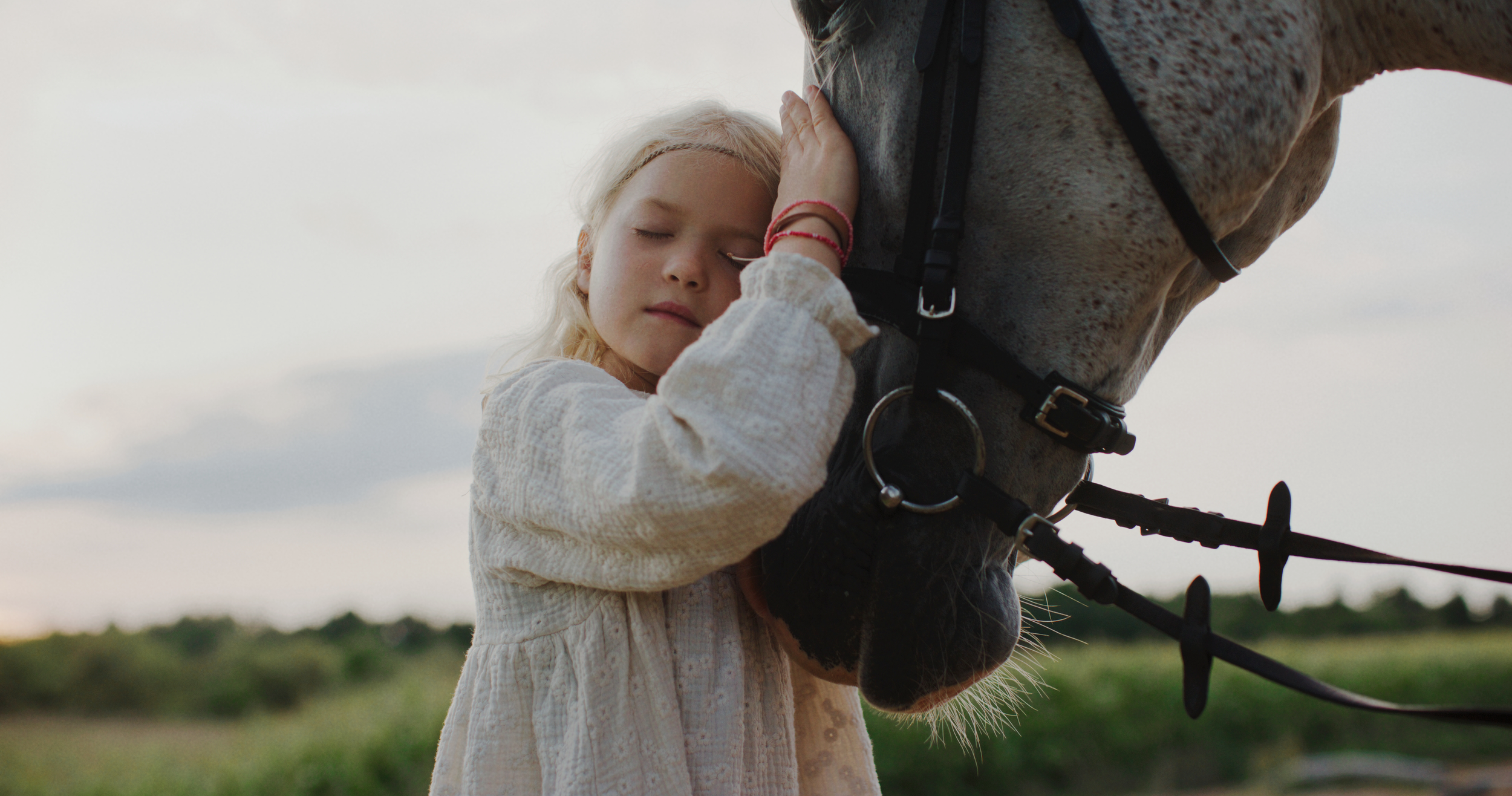 A young girl with closed eyes hugging a gray horse with a black bridle in an outdoor field at sunset.