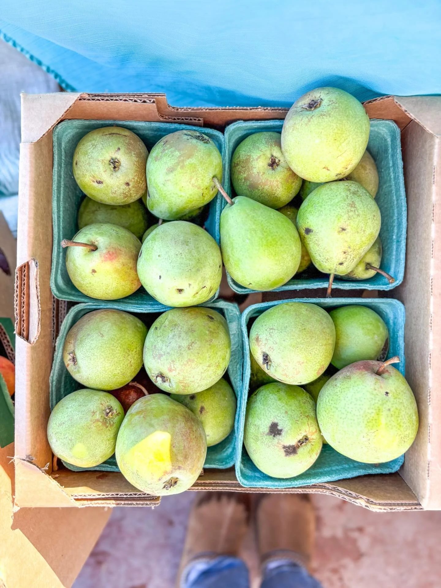 REMINDER: MARKET CLOSED FOR THE WINTER! ❄️

We want to thank you for an incredible market season at the Sackville Farmers&rsquo; Market NS! 

We are now closed until the Spring of 2026! Don&rsquo;t let this stop you from supporting local - many of ou