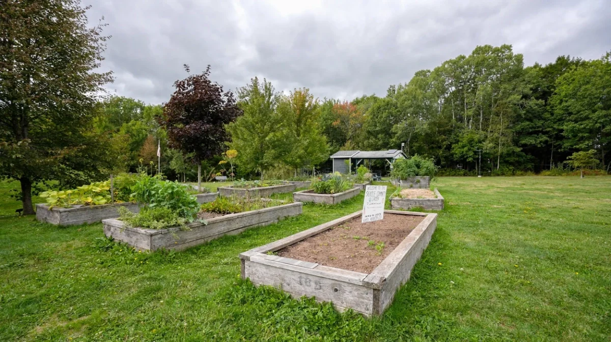 Acadia Park's Sackville community garden with raised wooden beds filled with various plants and vegetables, some beds have signs, surrounded by grass and trees, cloudy sky overhead.