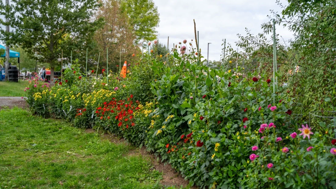 AcadiaPark - Photos-82.webp