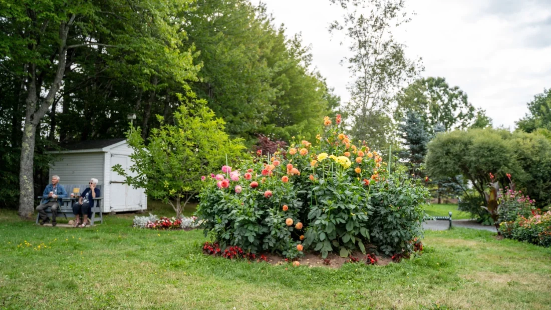 AcadiaPark - Photos-80.webp