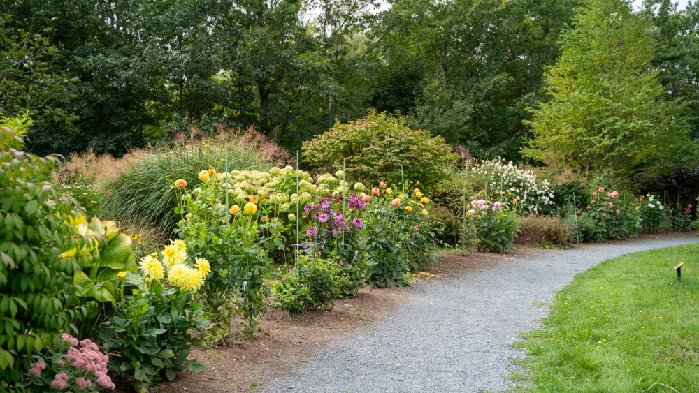 AcadiaPark - Photos-64.webp