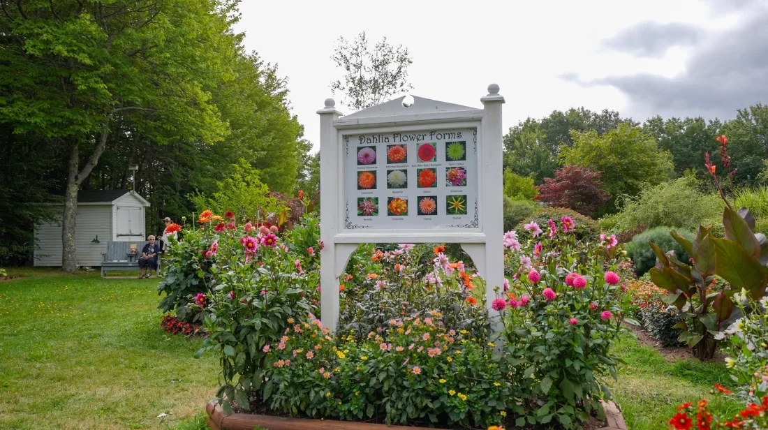 AcadiaPark - Photos-33.webp