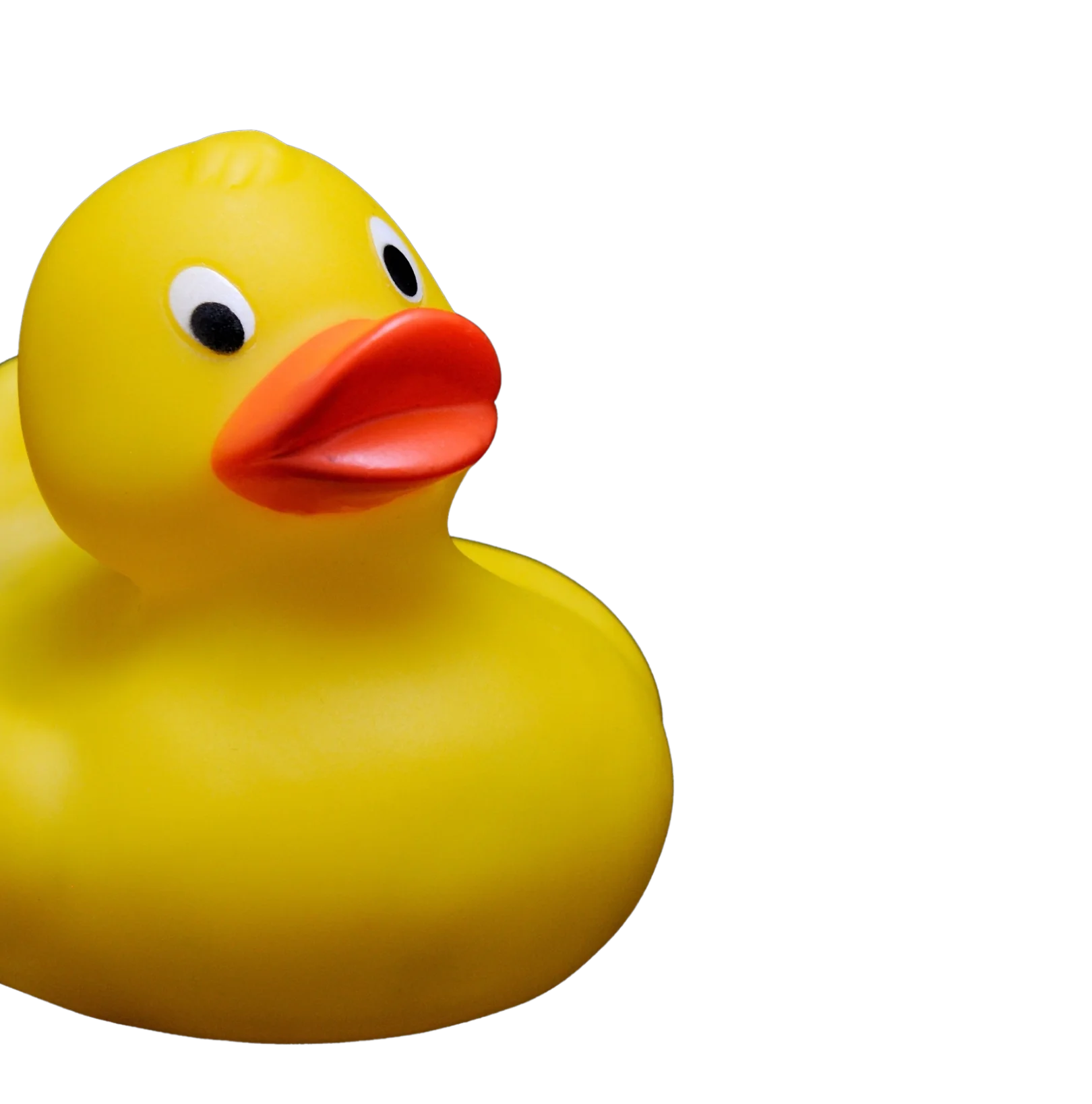A yellow rubber duck with black and white eyes and an orange beak.