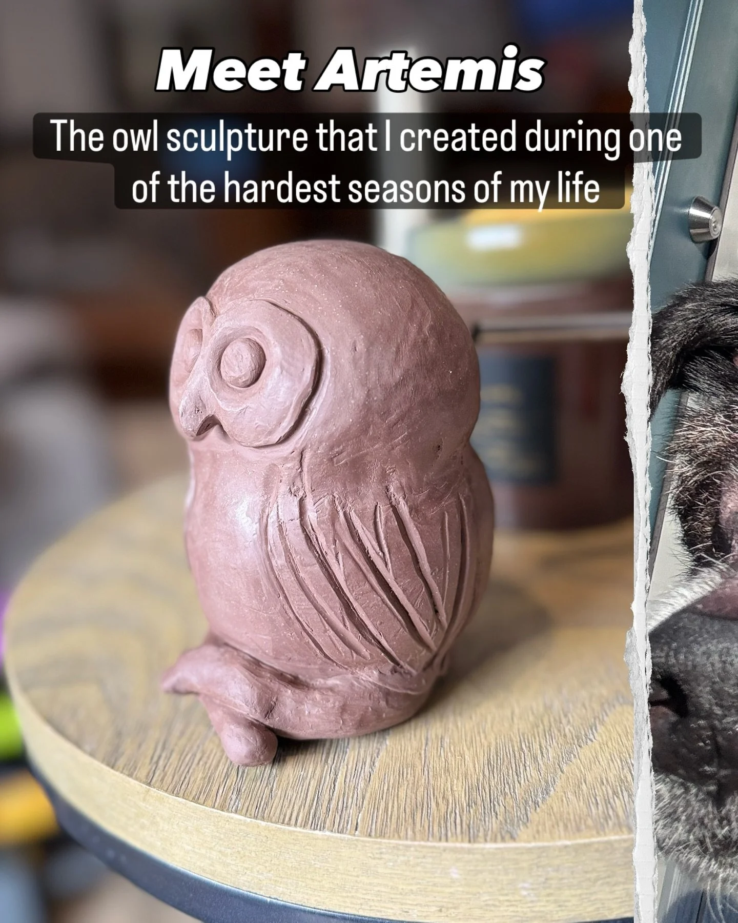 Meet Artemis, the owl who carries Jasper&rsquo;s story.

Jasper was my heart dog. For three years, we navigated his Cushing&rsquo;s disease together. It&rsquo;s a condition that causes the body to produce too much cortisol. It left him weak, tired, r