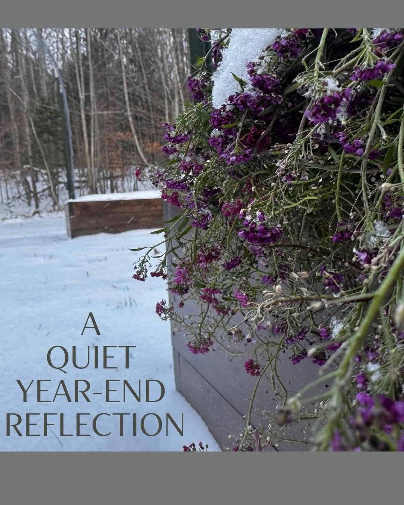 A quiet, year-end reflection&hellip;now available (link in bio). 🌿

As the year comes to a close, I&rsquo;ve been pausing to notice what I&rsquo;m grateful for and envision what I want the year ahead to feel like. In this spirit, I created a PDF as 