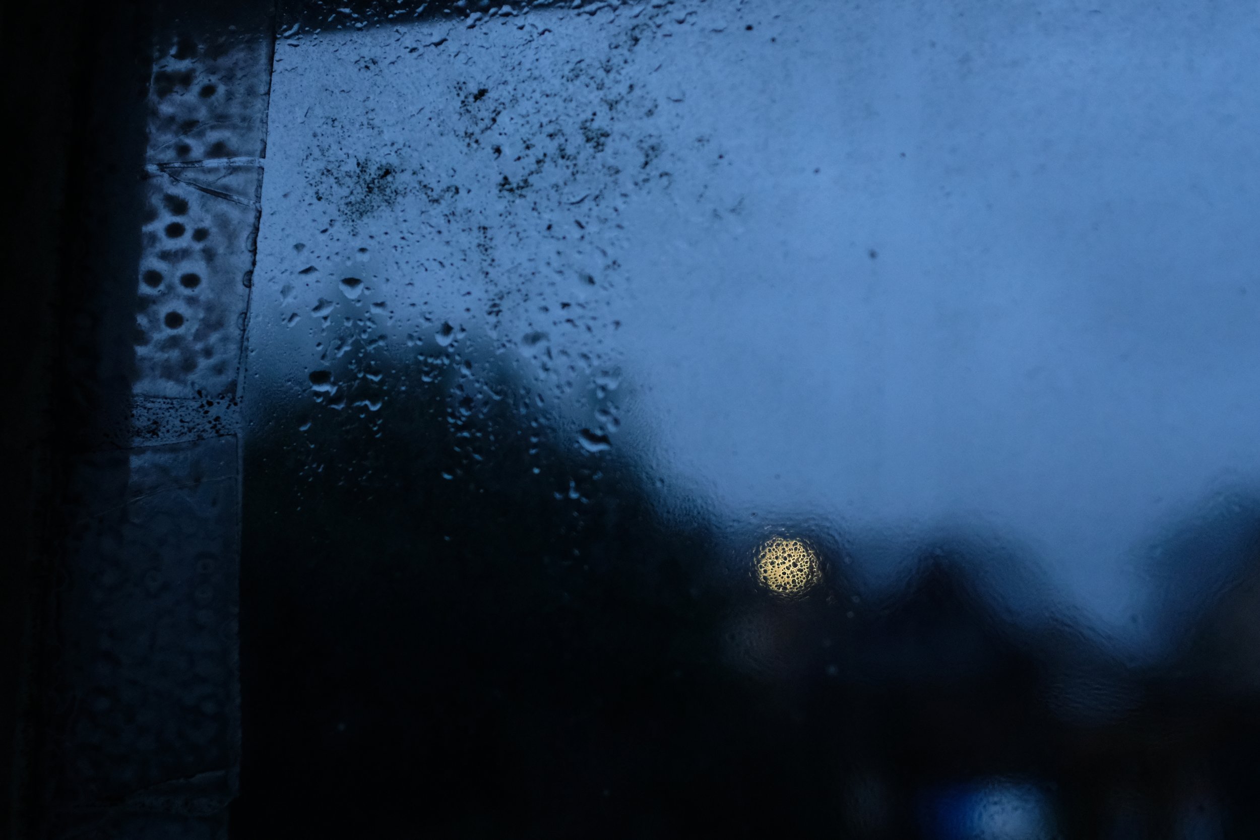 Light (10).JPG
