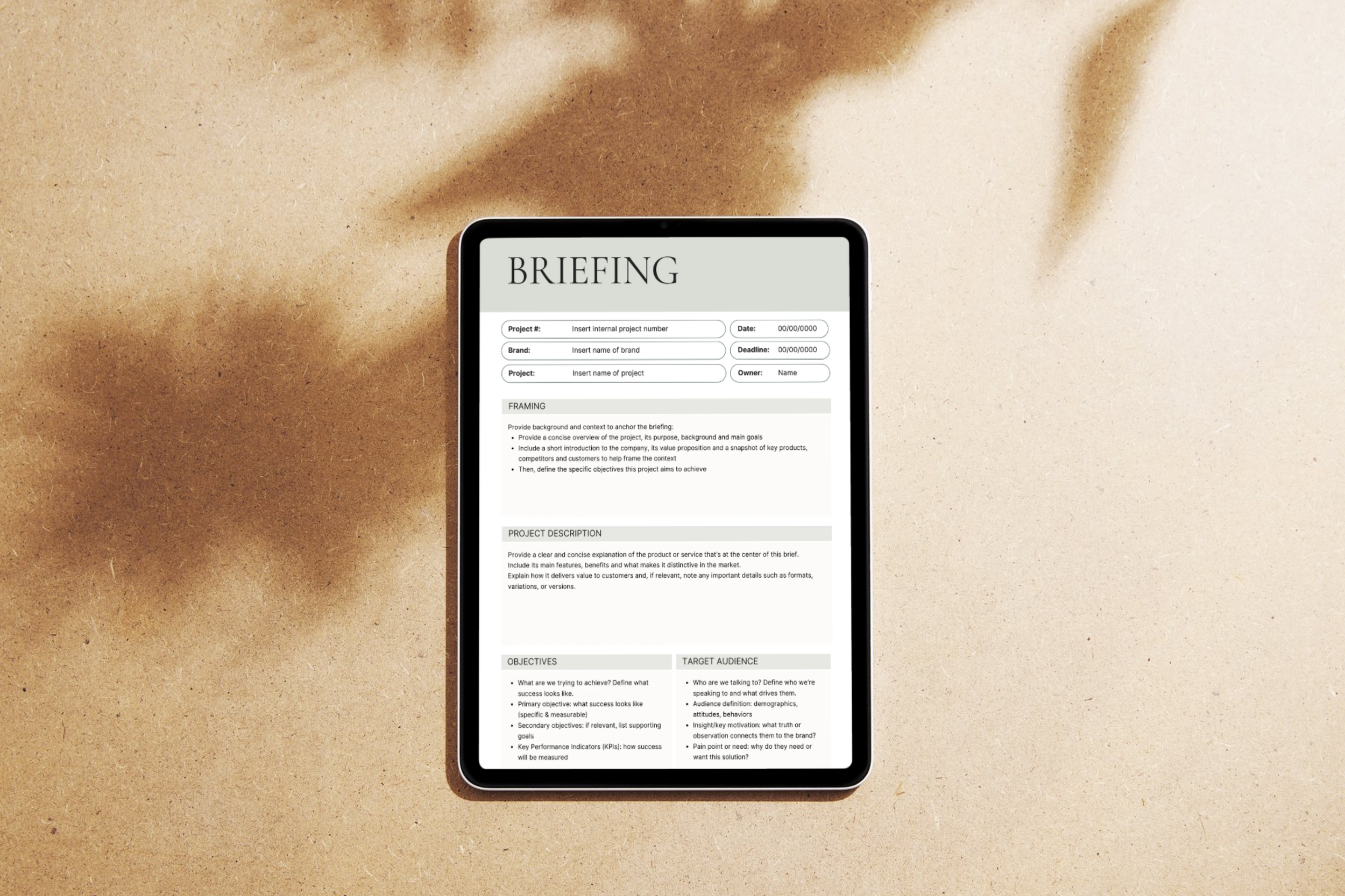 Briefing template (3).png