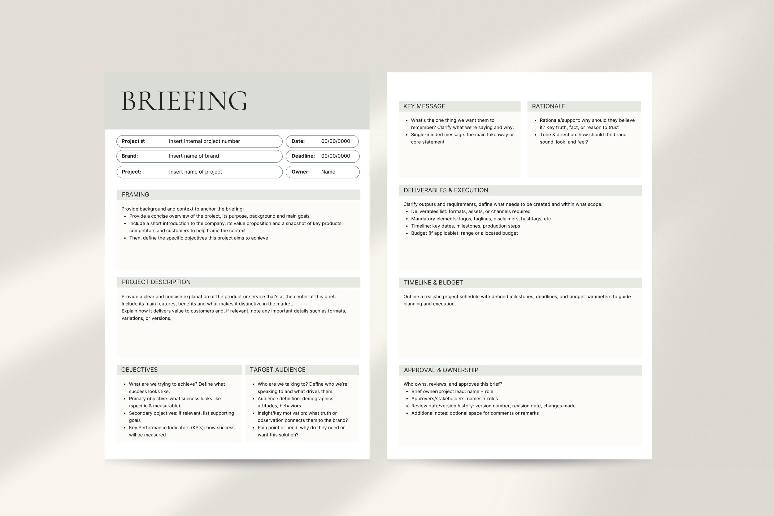 Briefing template.png