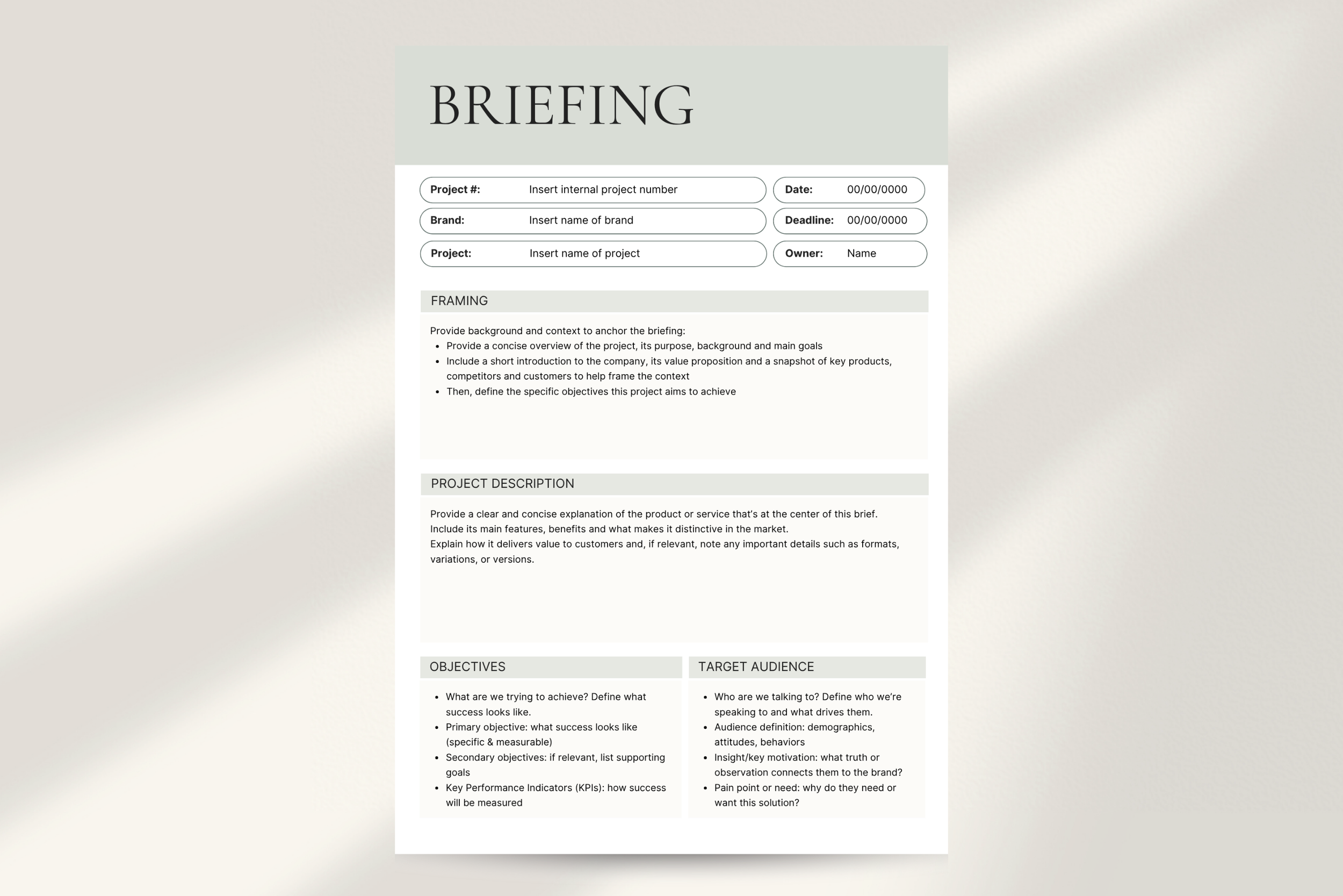 Briefing template (4).png