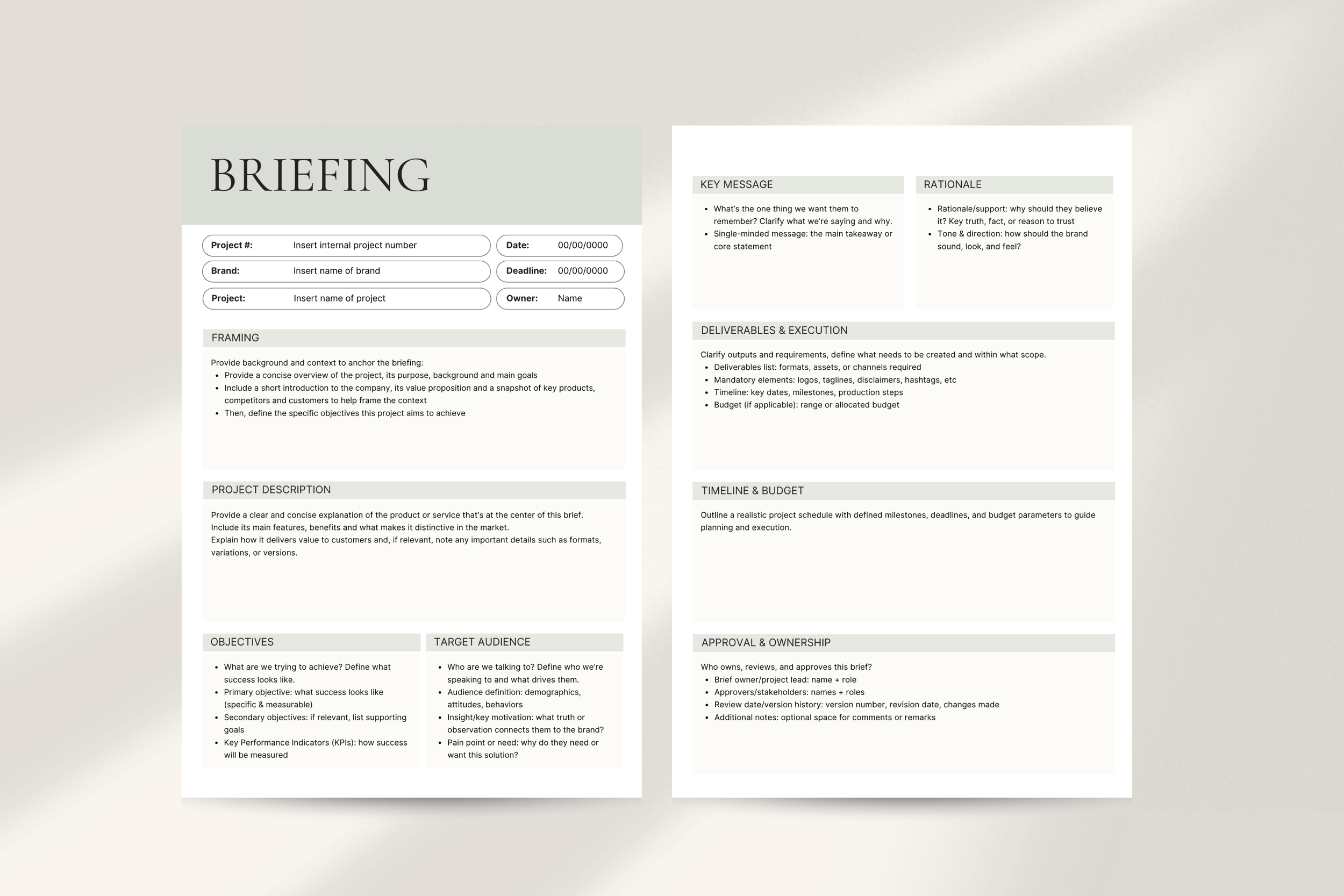 Briefing toolkit (5).png