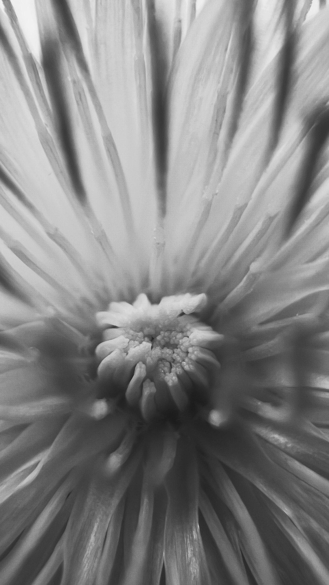 347DA276-D0E5-4D60-9318-20075C207075.jpeg