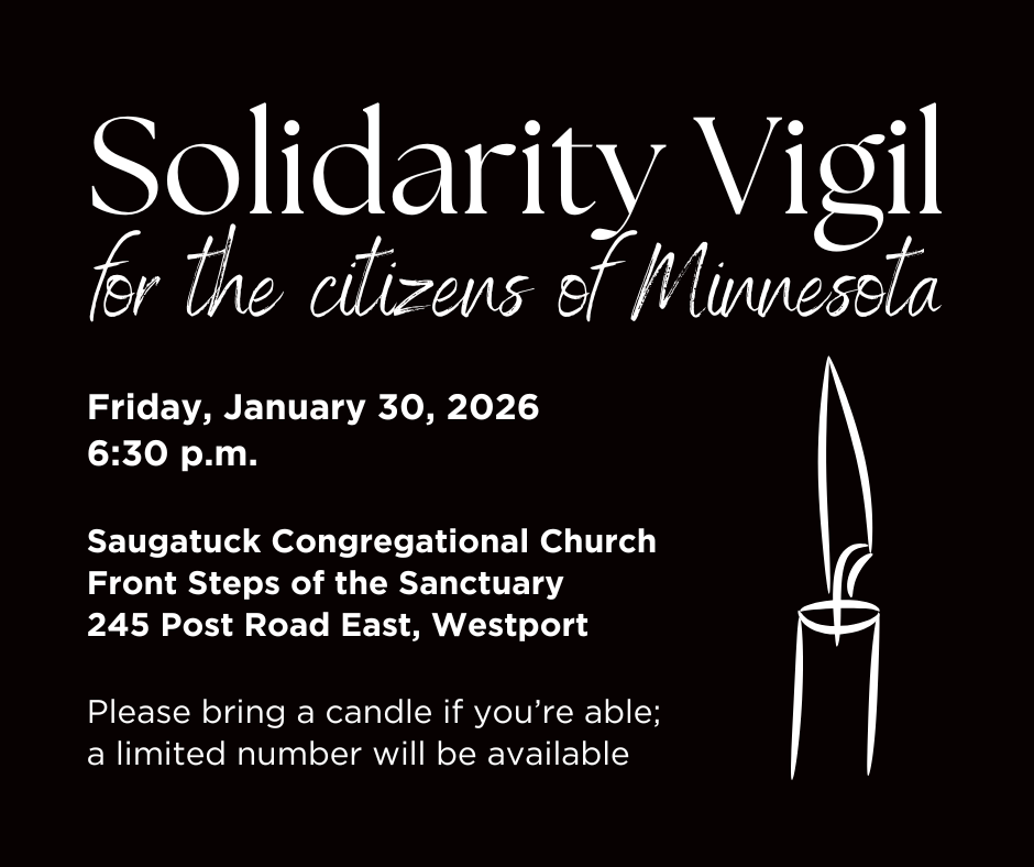 Solidarity Vigil for the Citizens of Minnesota