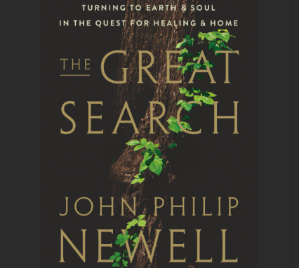 Book Cover of The Great Search by John Philip Newell