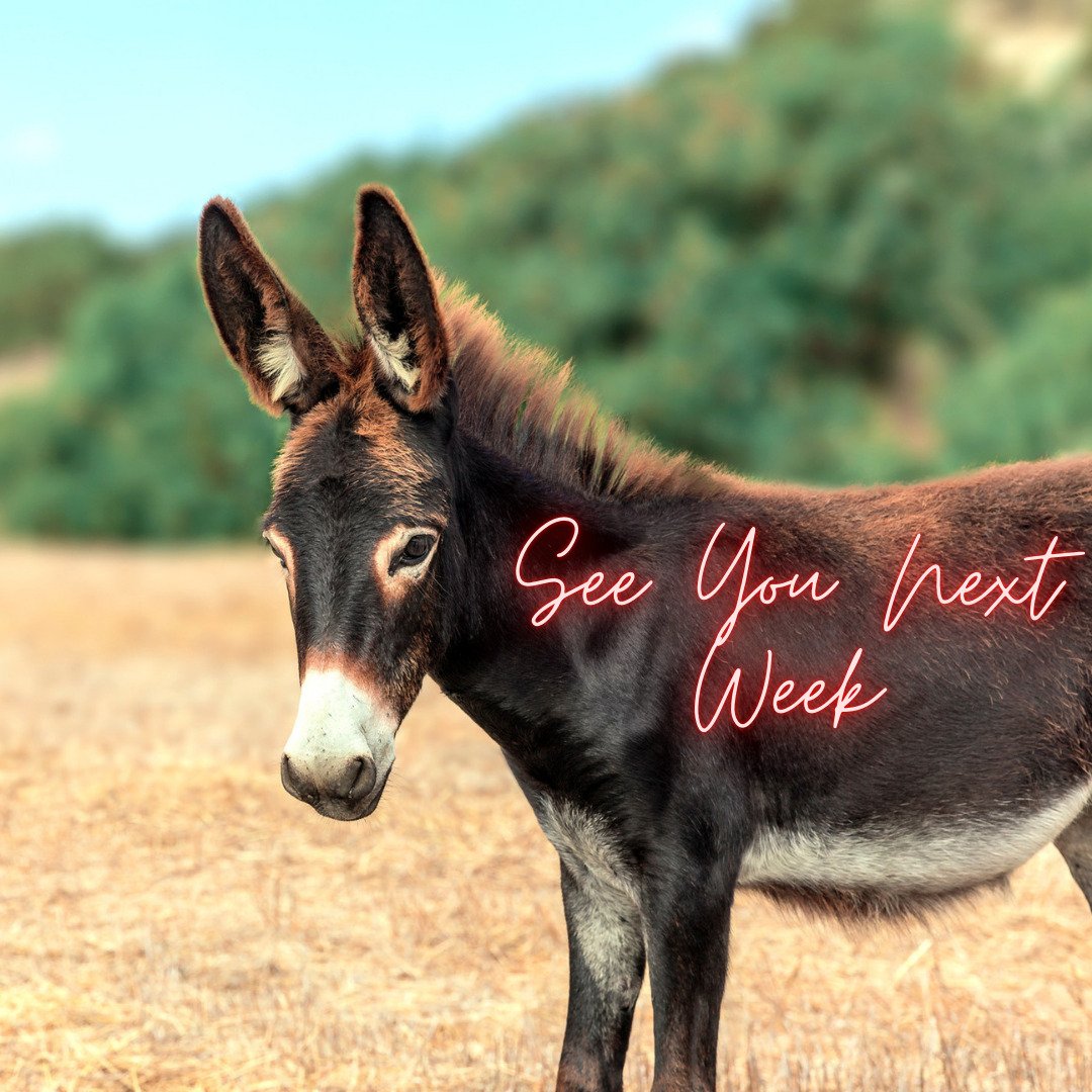 In light of the impending weather and the travel advisory, we're going to skip this week's game @sportscitypizzapub.

See you next Monday at 7!