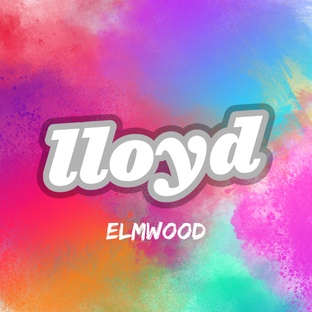 Lloyd Taco Elmwood