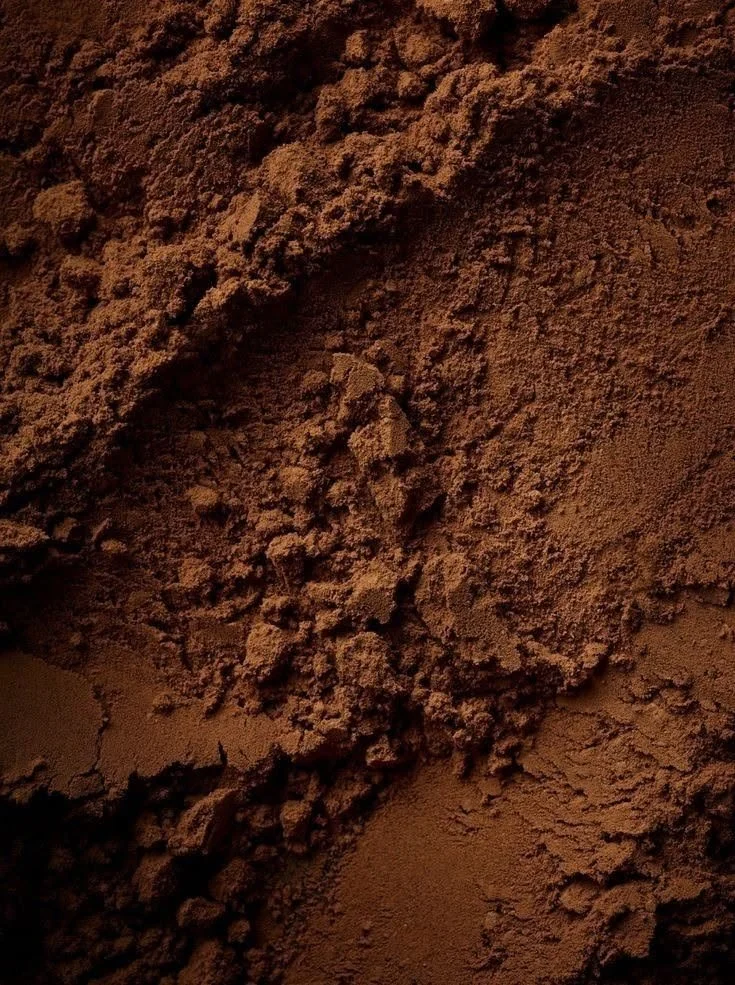 What is Hojicha?