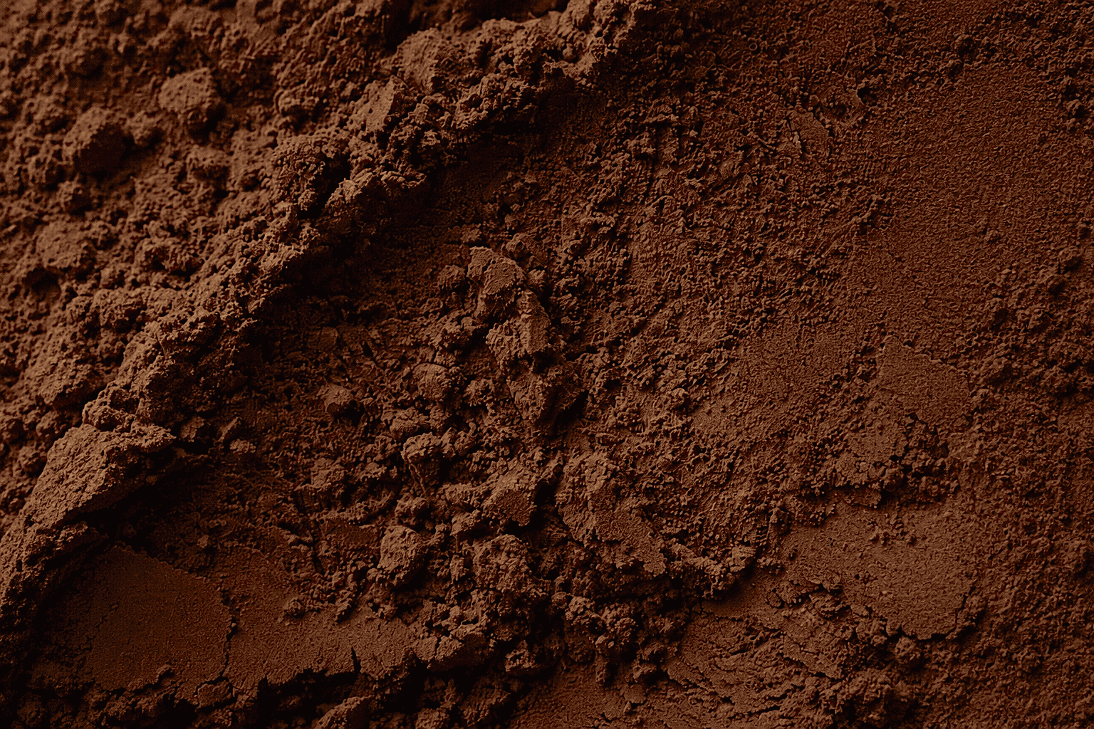 upclose hojicha .png