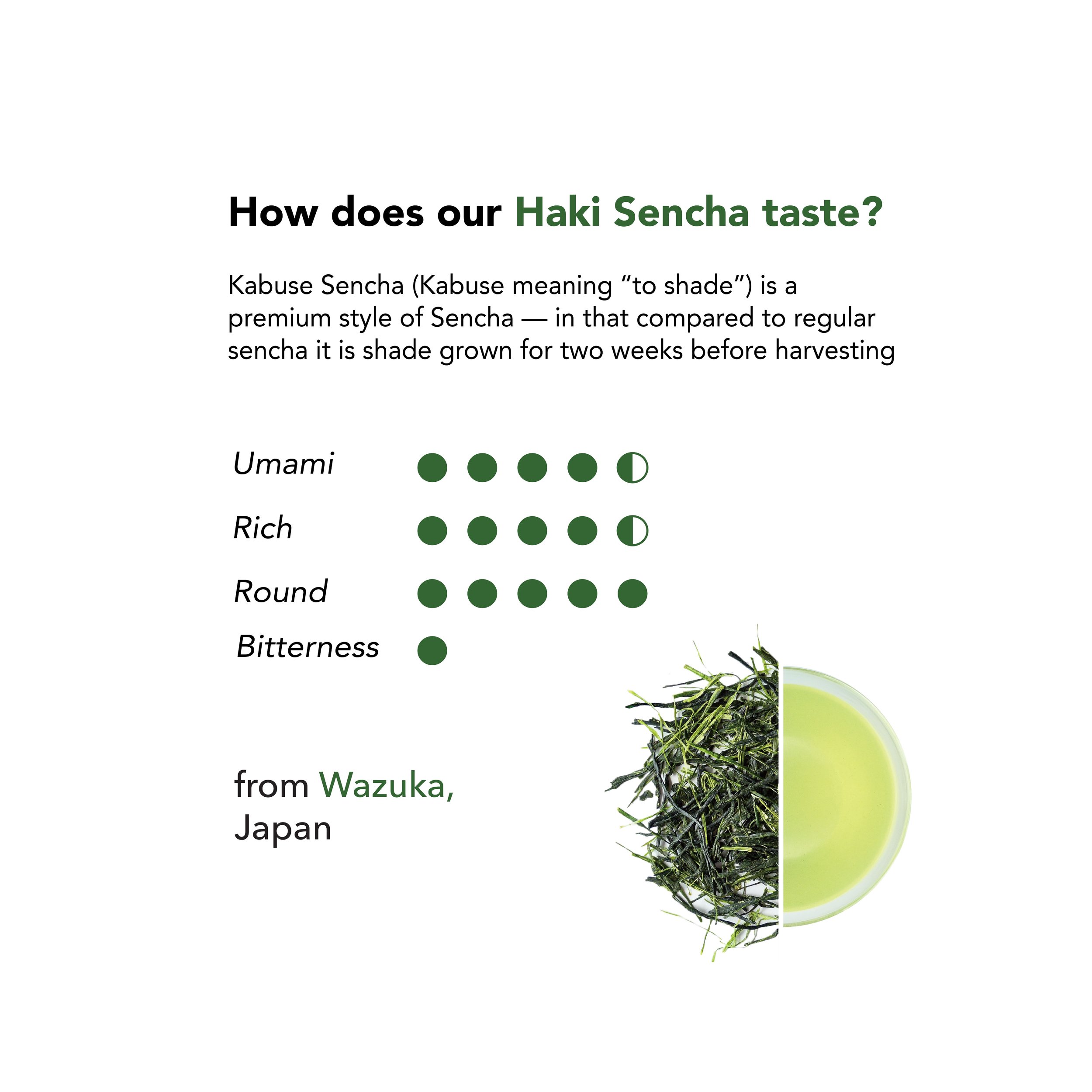 How does sencha taste.jpg