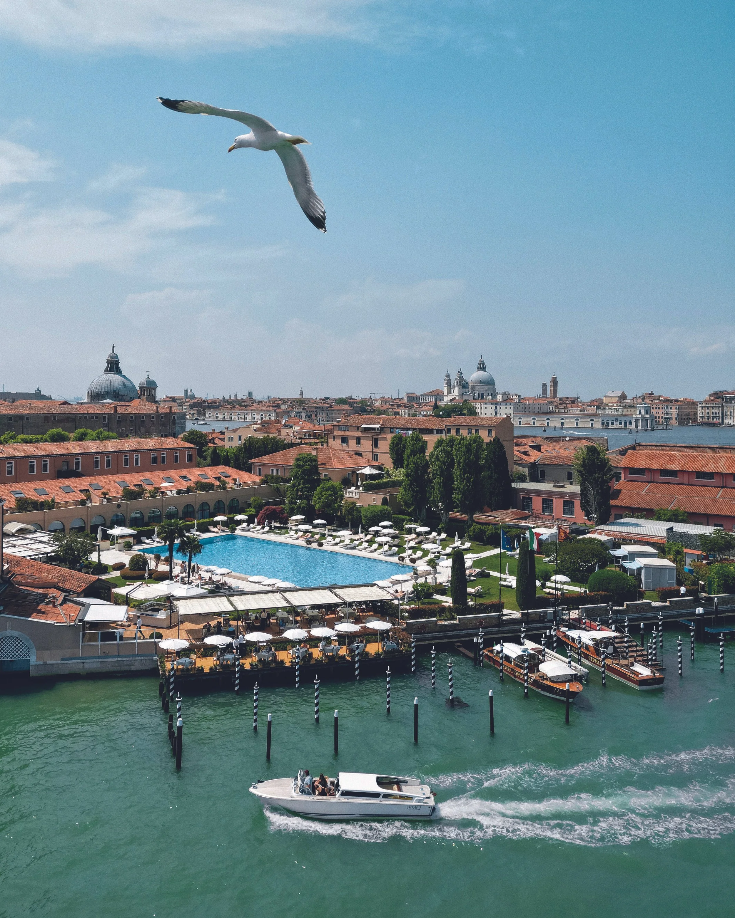 22802_High resolution.jpg