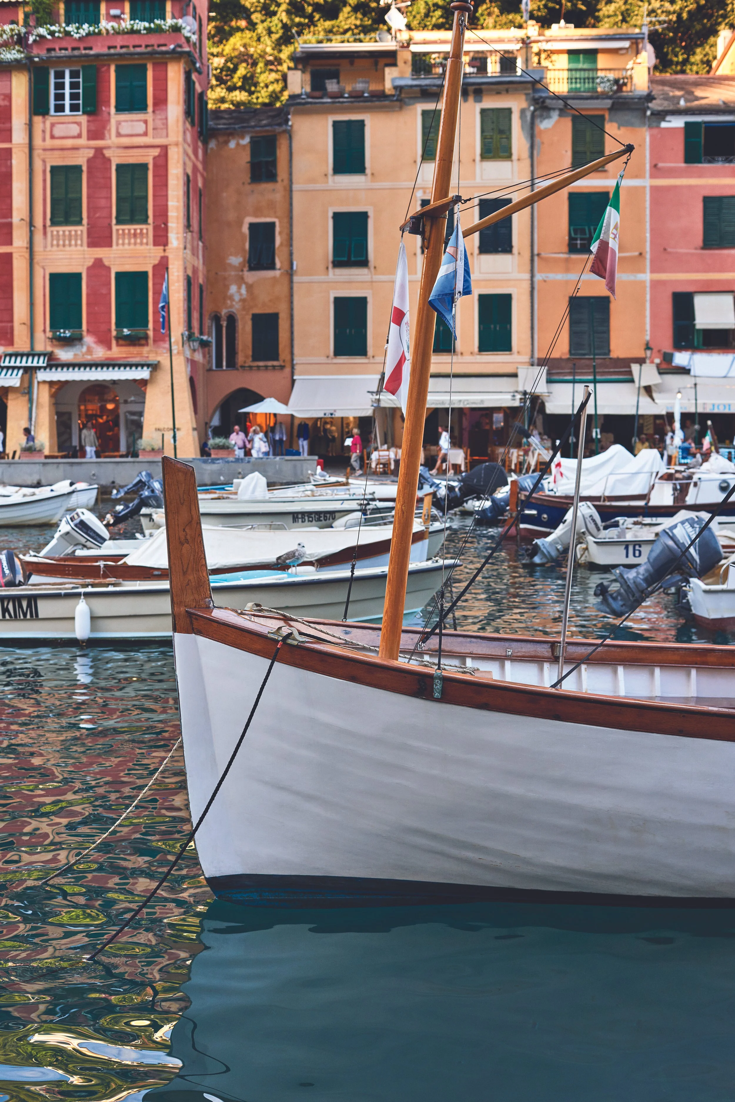 13183_High resolution.jpg