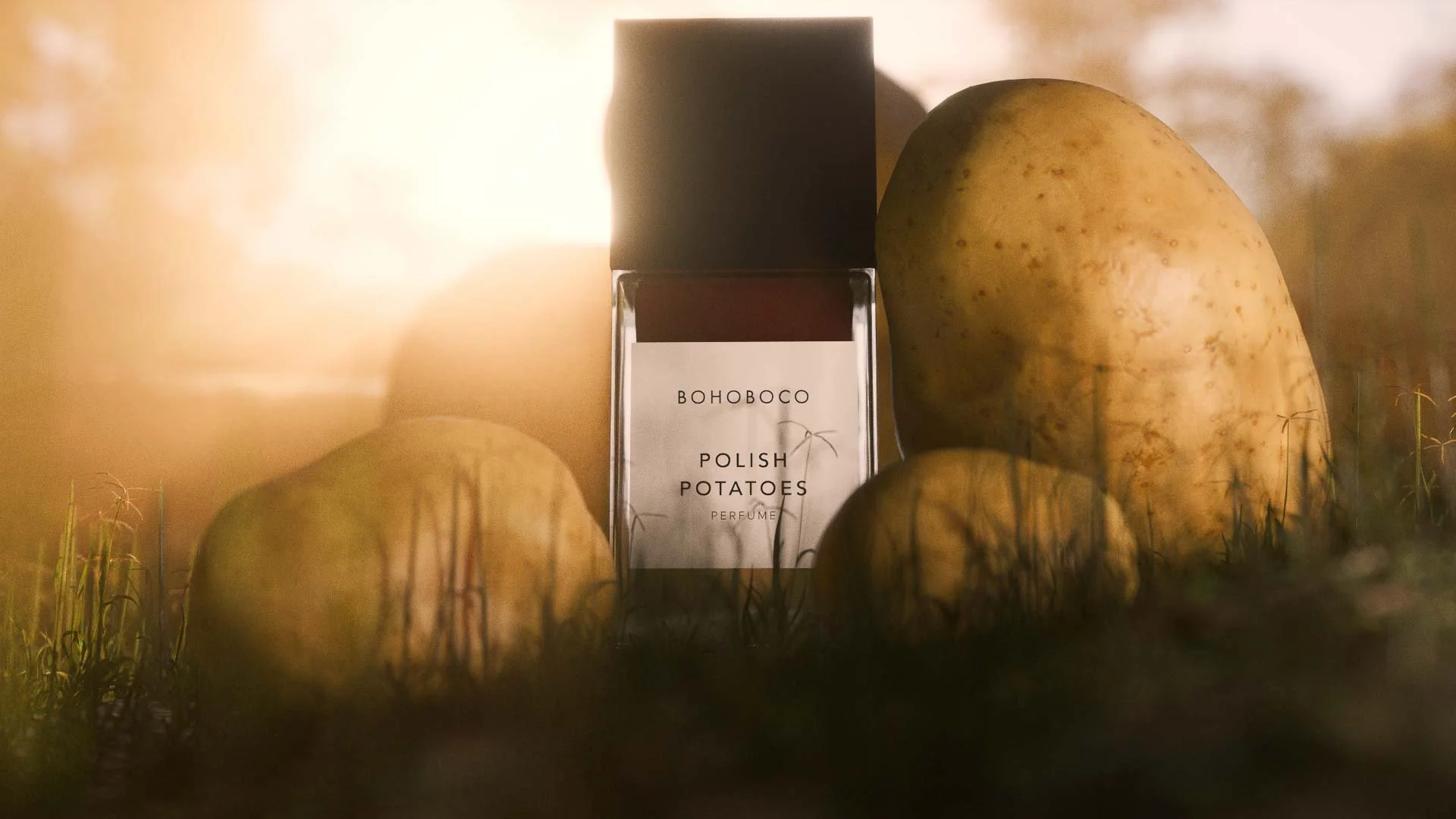 Portfolio Home Feature Photo.jpg