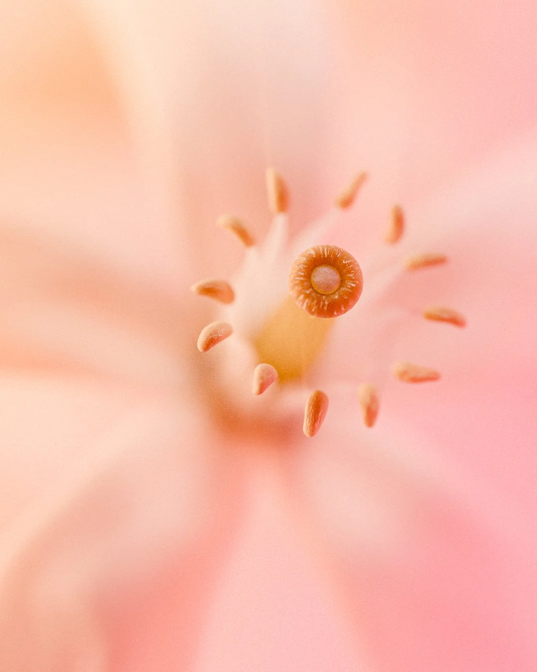 Macro amd Depth Bloom R&D Scenes.jpg
