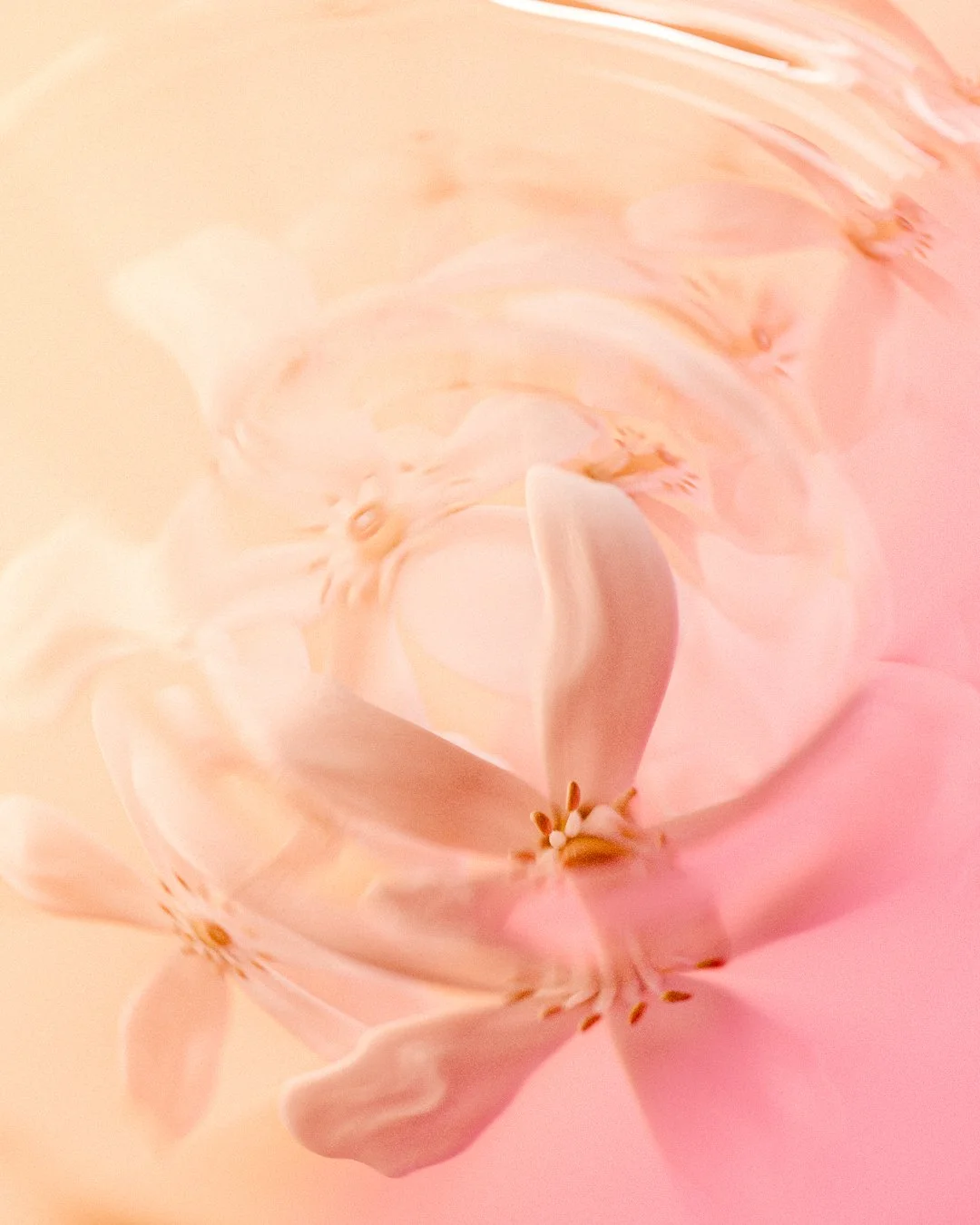 Macro amd Depth Bloom R&D Scenes-2.jpg