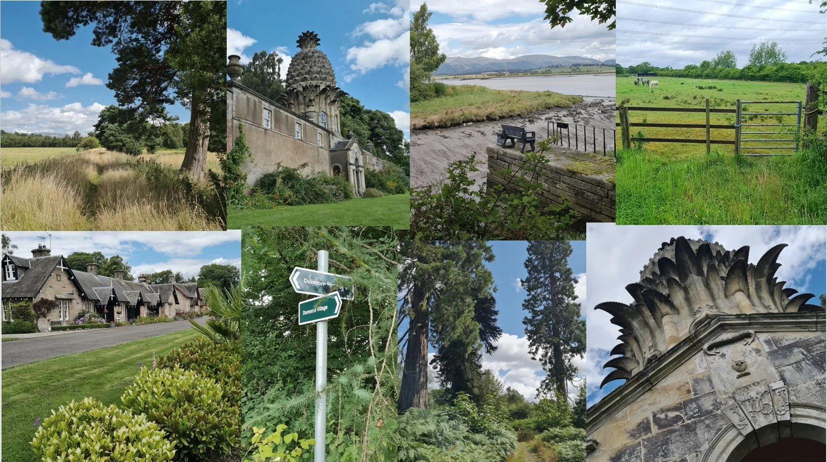 Local Area Dunmore.jpg
