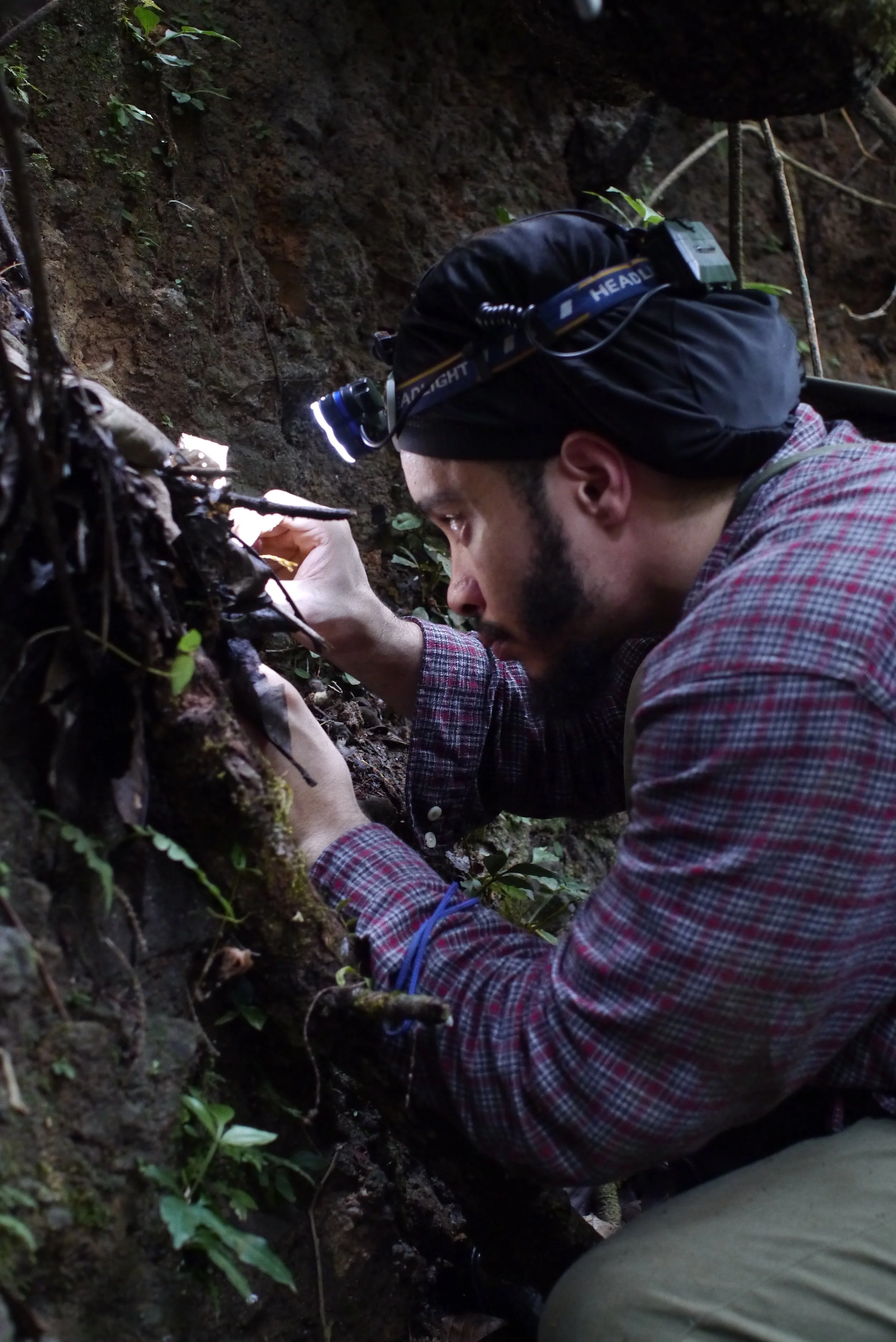 P1180790_Original 2.jpg