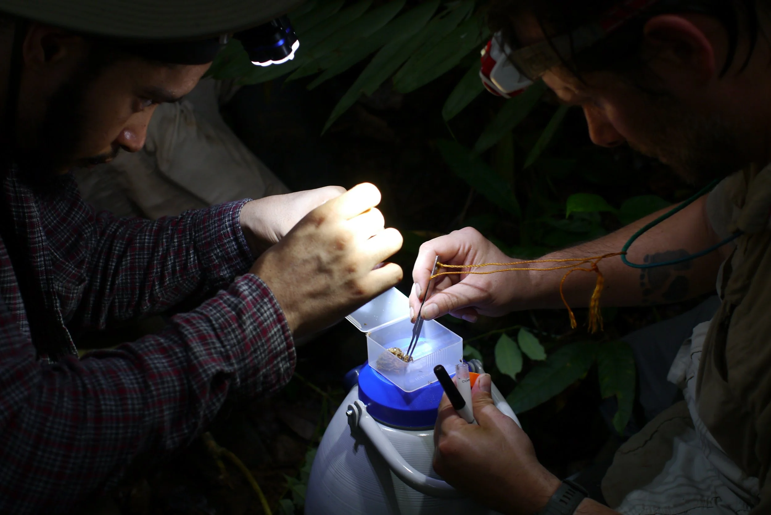 P1180758_Original 2.jpg