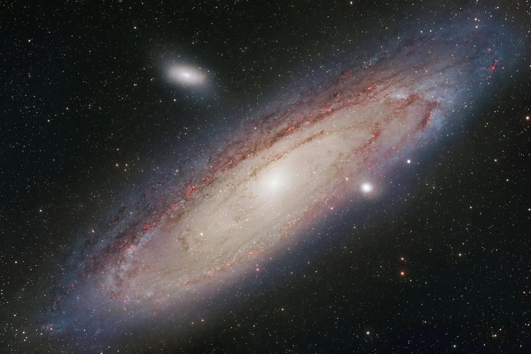 The AI Intelligence Loop: How audience intelligence becomes AI visibility strategy