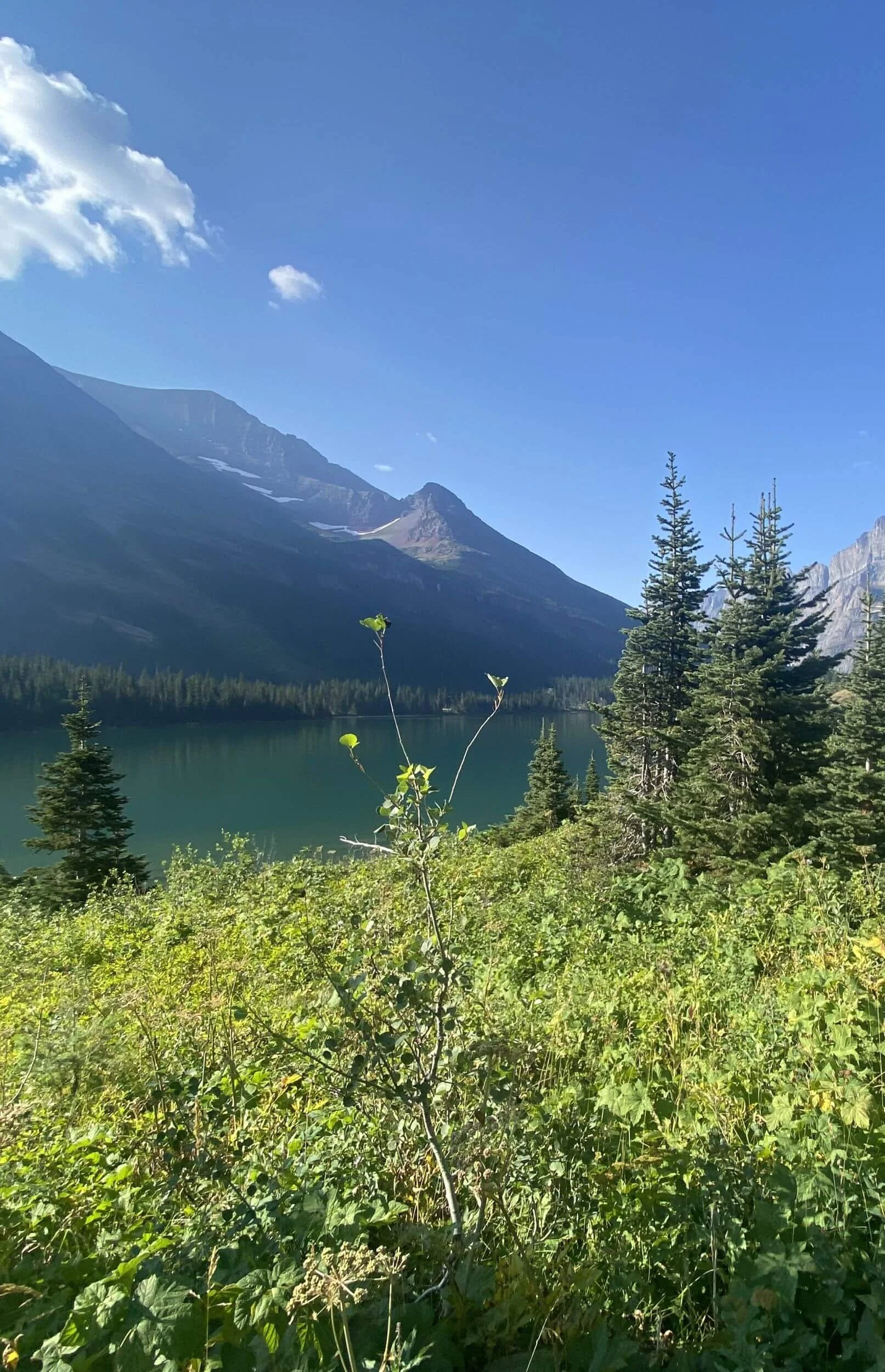 fractional marketing strategist SEO AI content